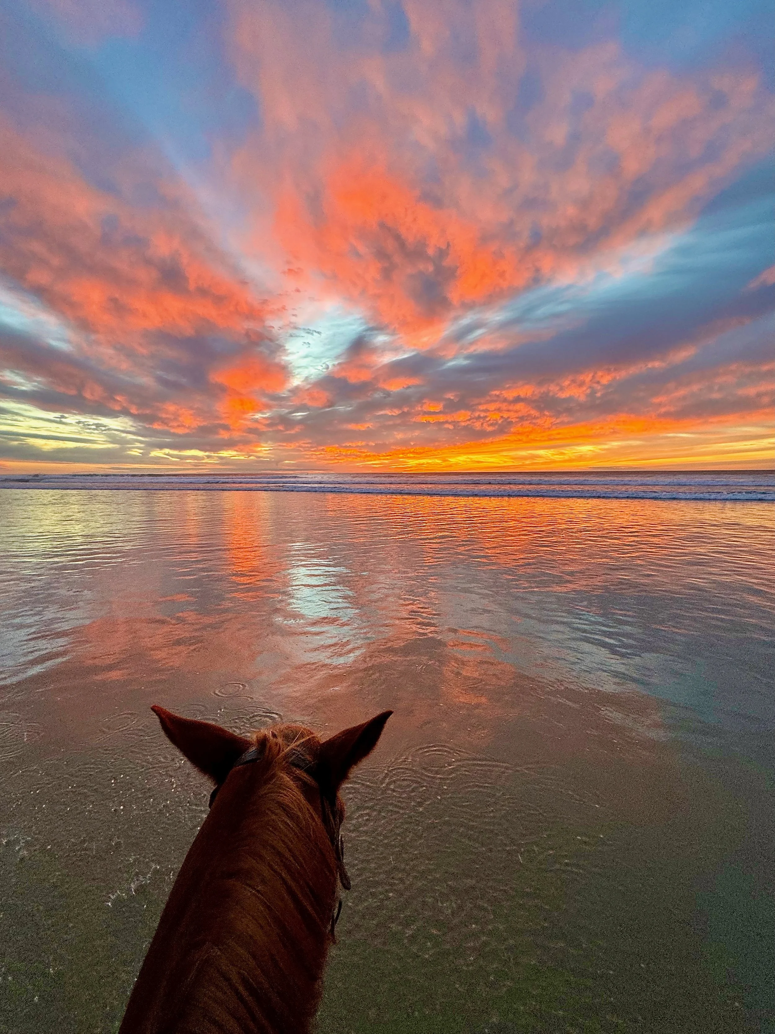 Two Kinds of Tired: The Physics of Agency