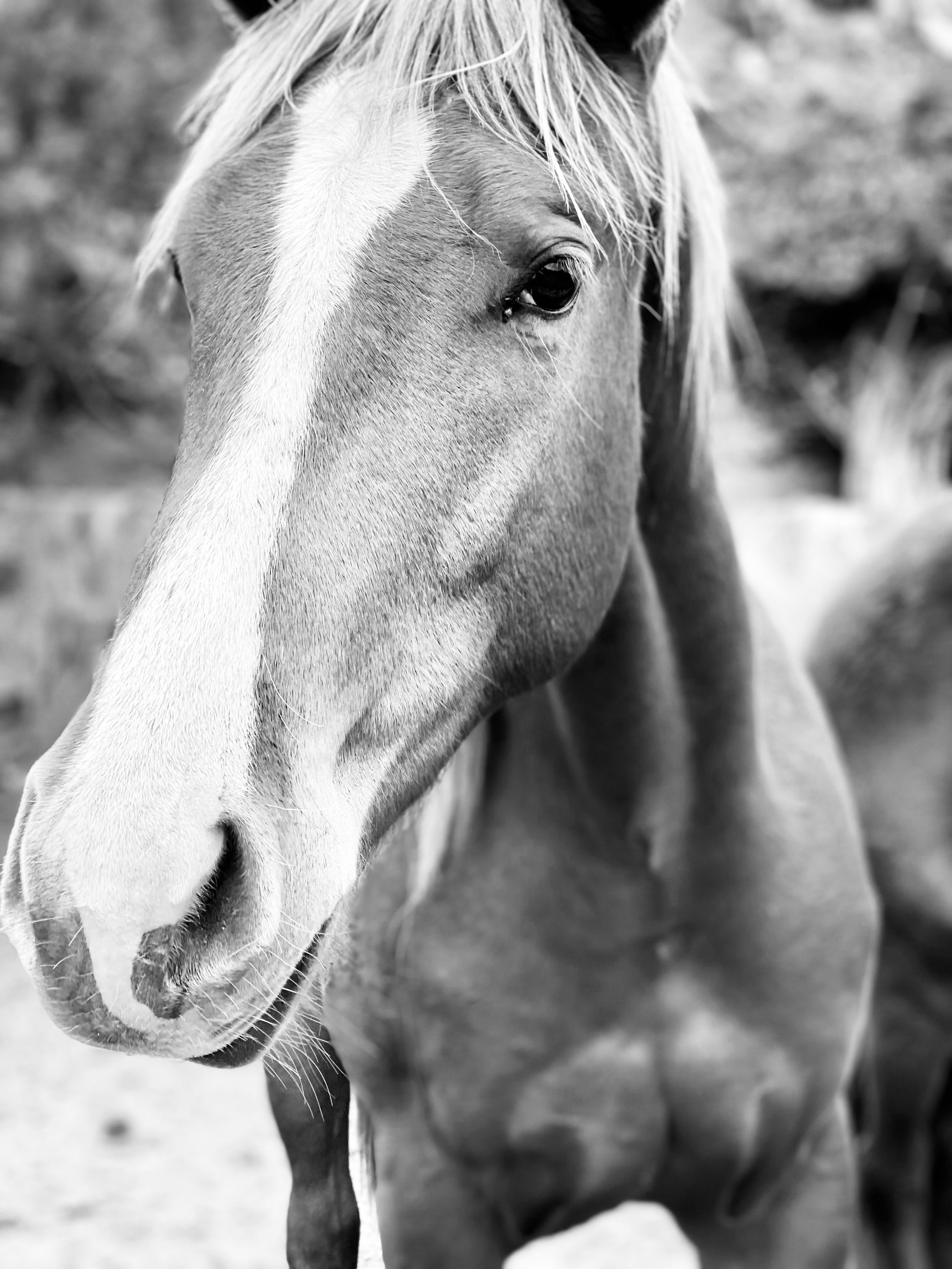 The Signal of Bad Tired: 