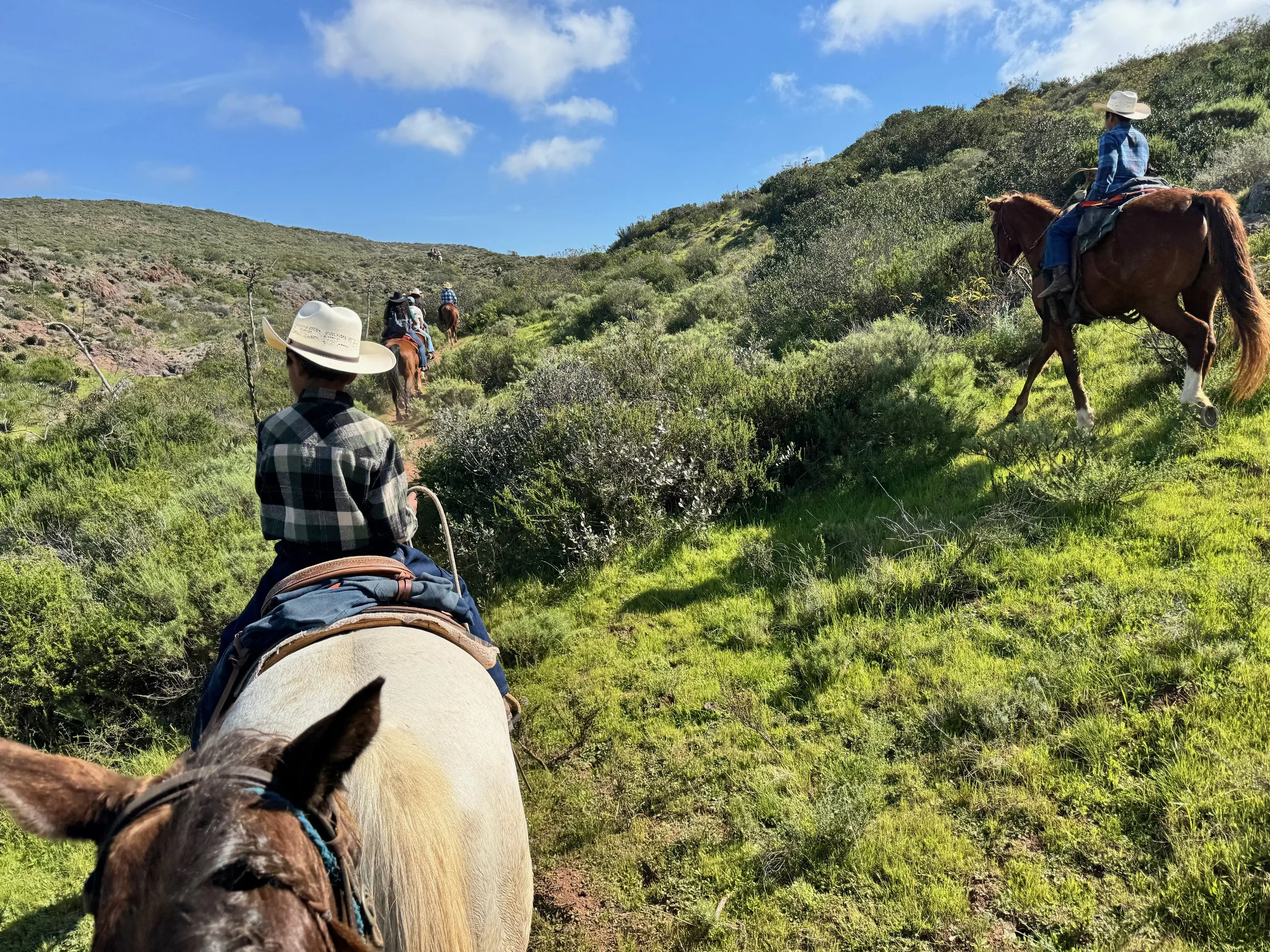 Cabalgando: Riding into the Year of the Horse - Together