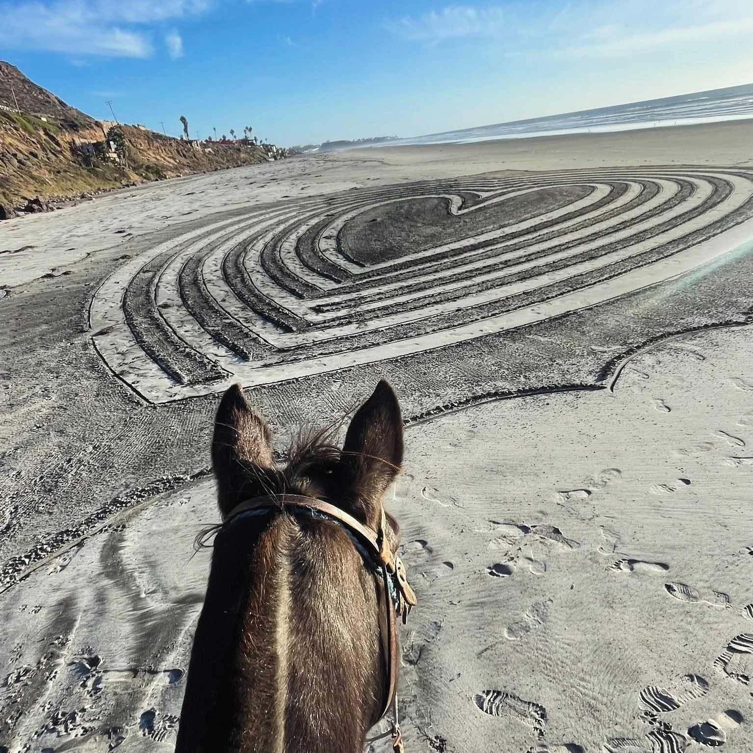 On Becoming Wholehearted