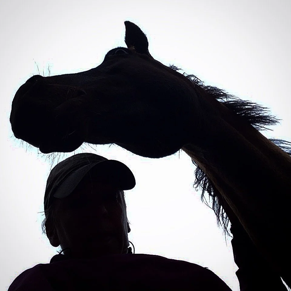 You Are The Committee