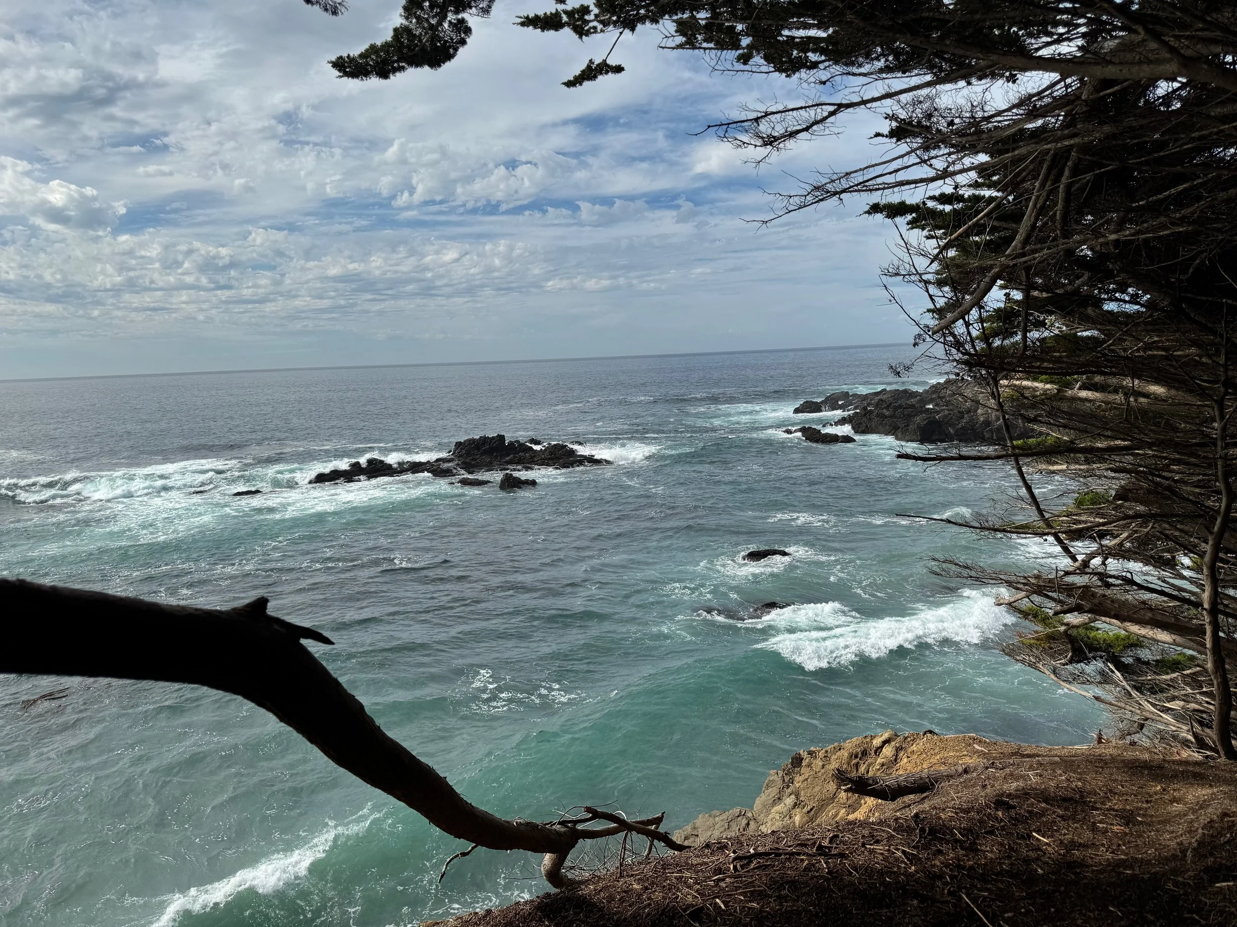 The Vitality of the Return