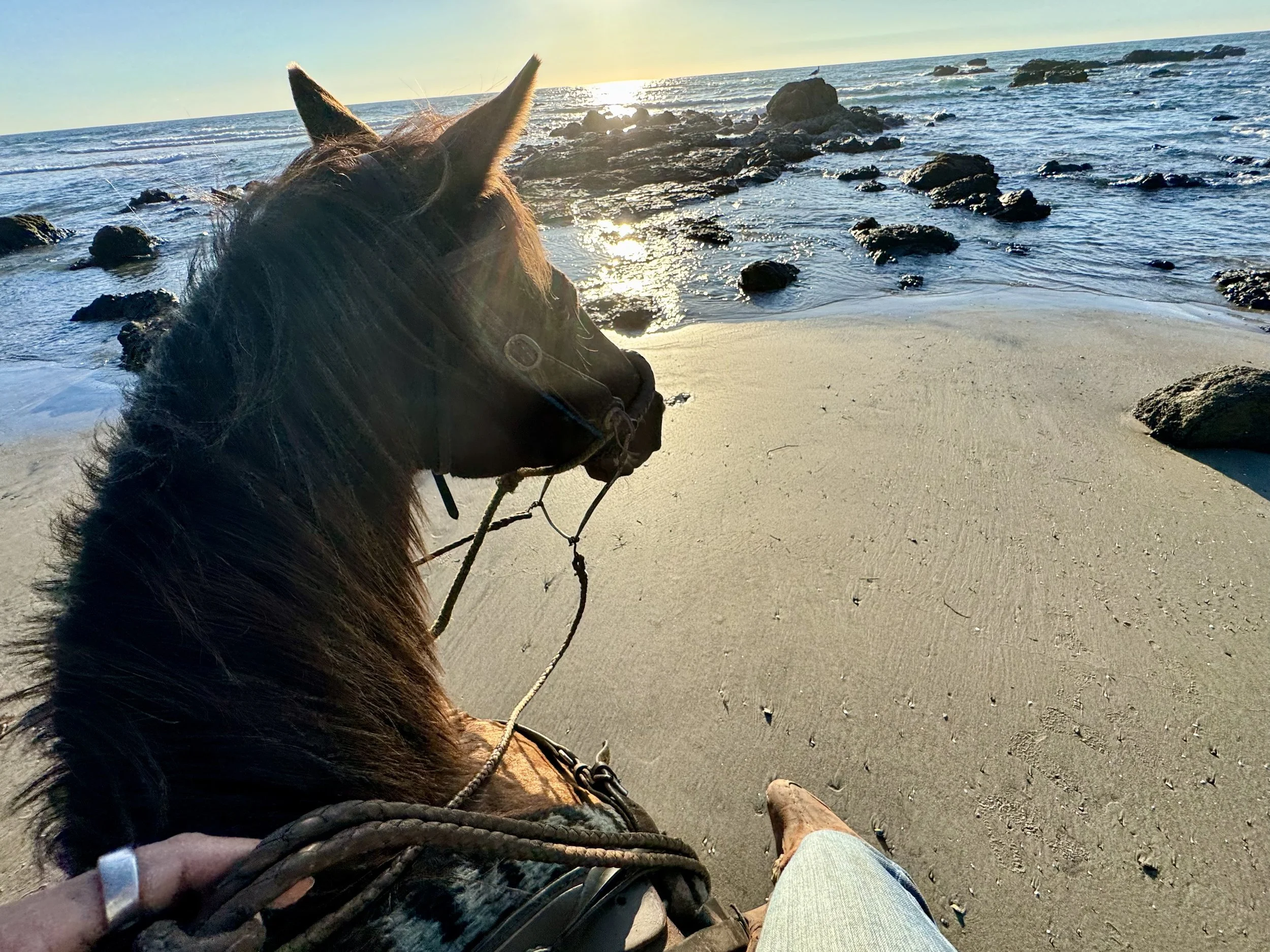 The Trash We (Don’t) See