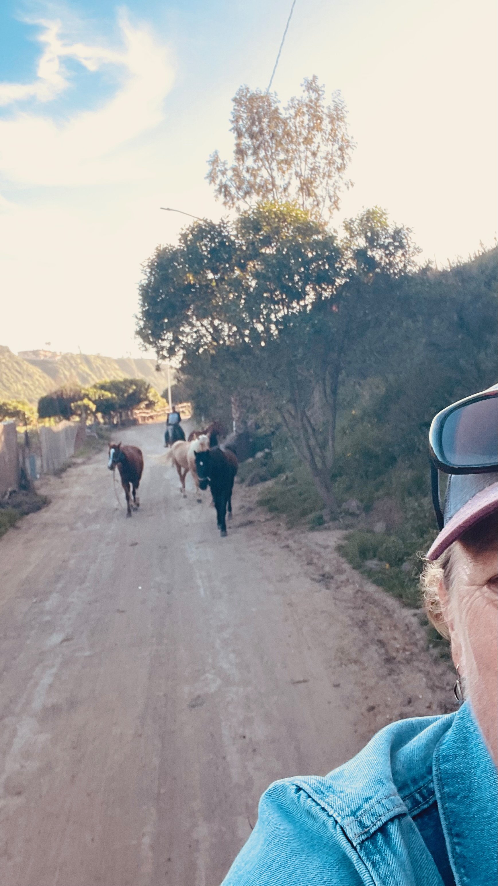 The Deep Seat (The Secret to navigating a chaotic world)