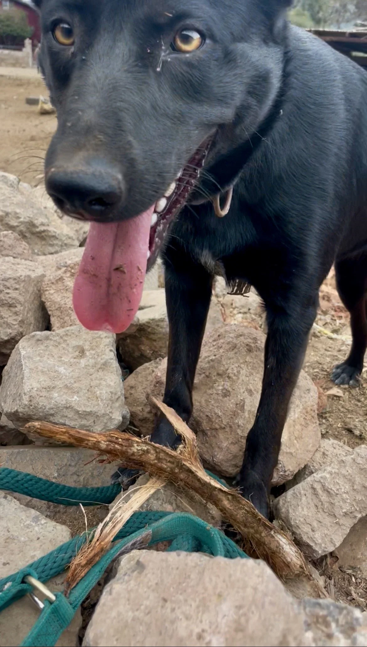 The Tootsie Pop Center