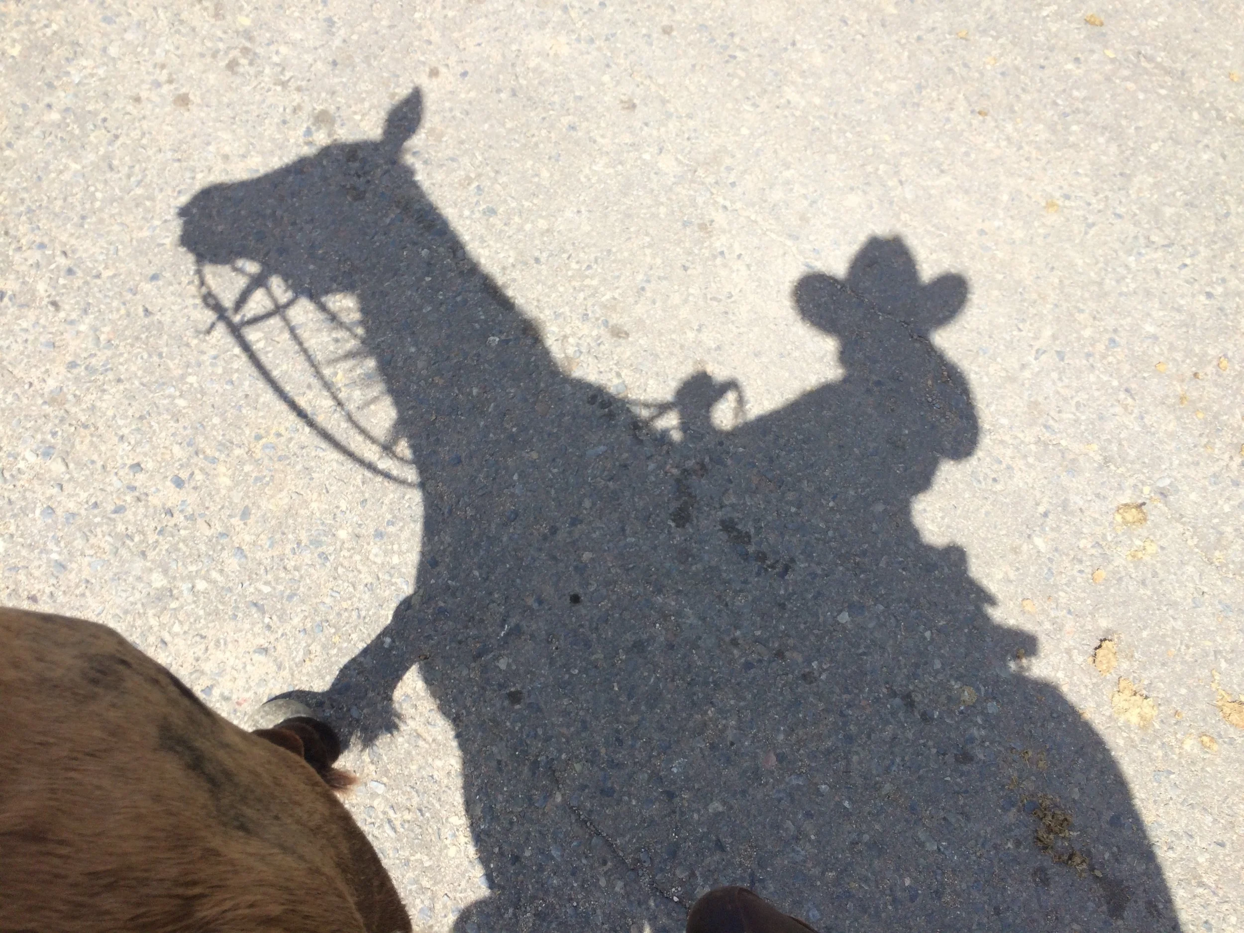 The Myth of the Even Keel 