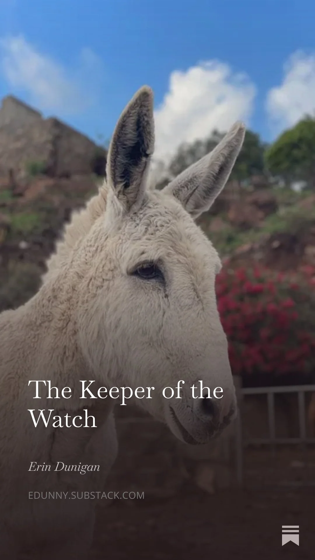 The Keeper of the Watch
