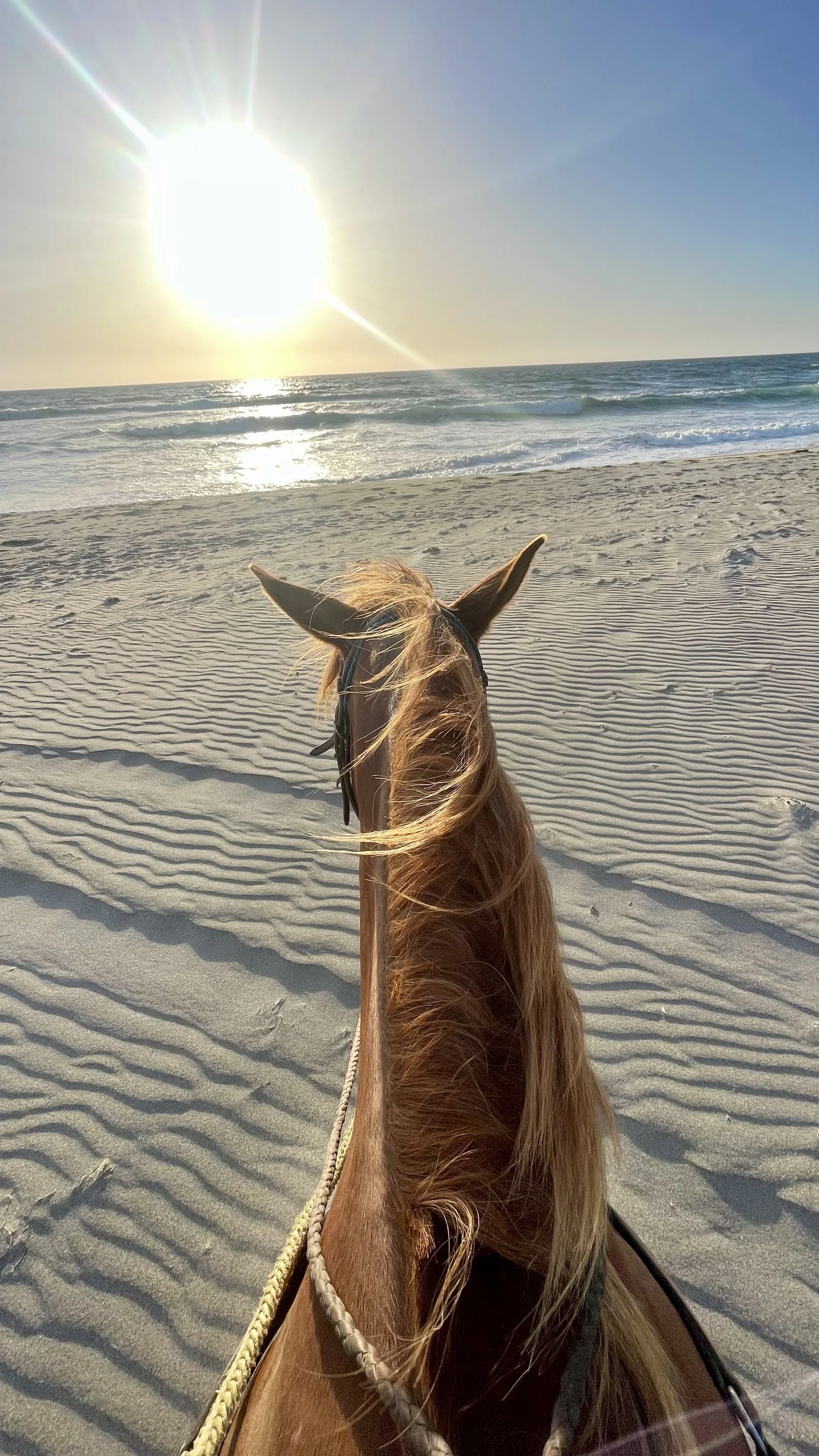 The Loose Rein