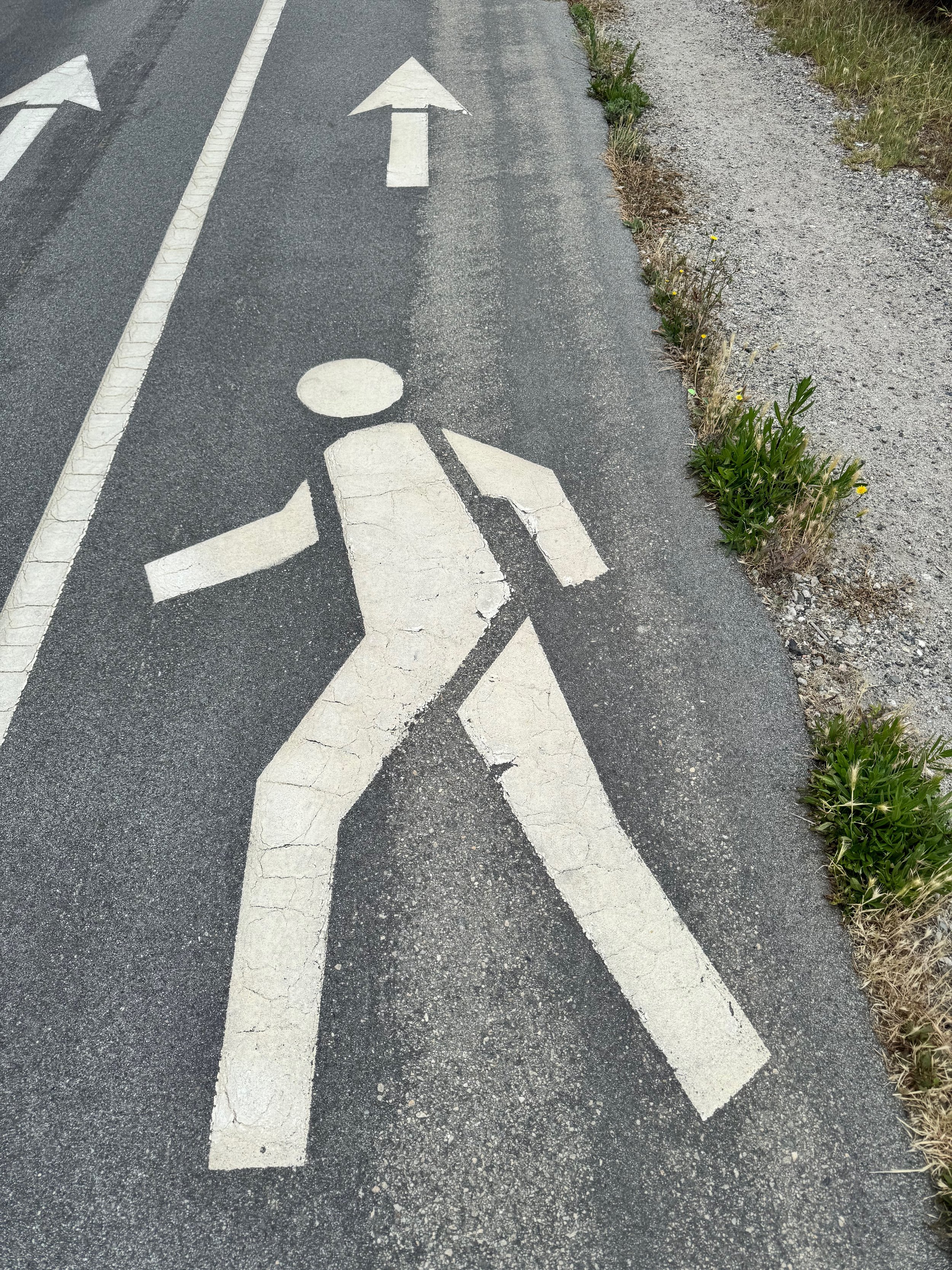 What if Life is Not a Straight Line?