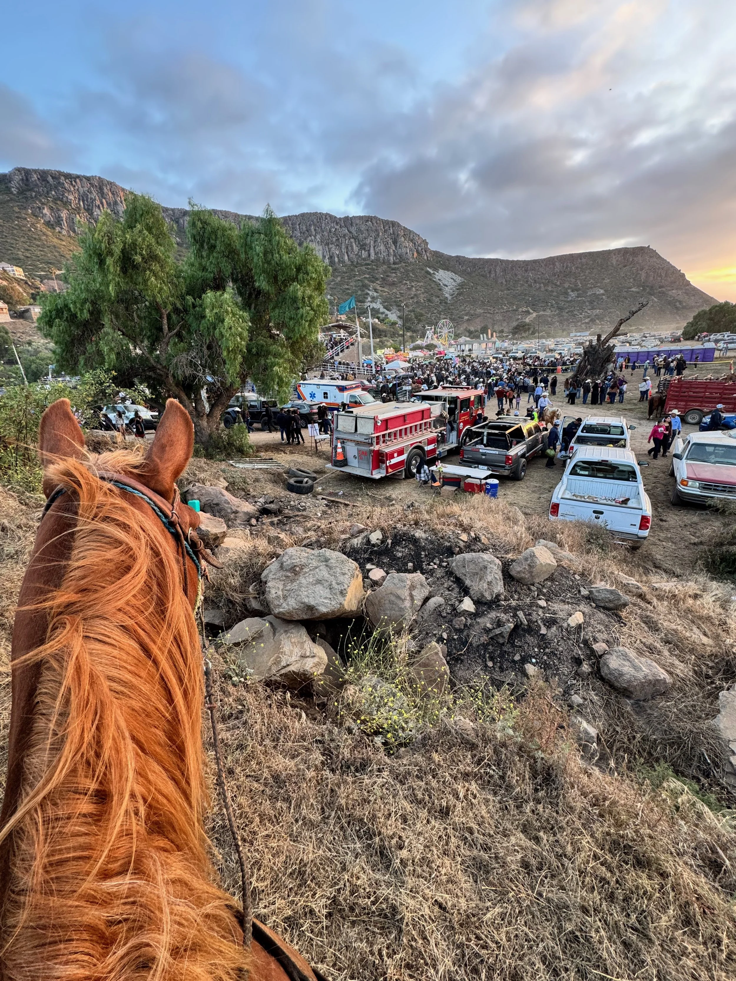 Check In(gine) Light Part 3: When Your Horse Becomes the Warning Light