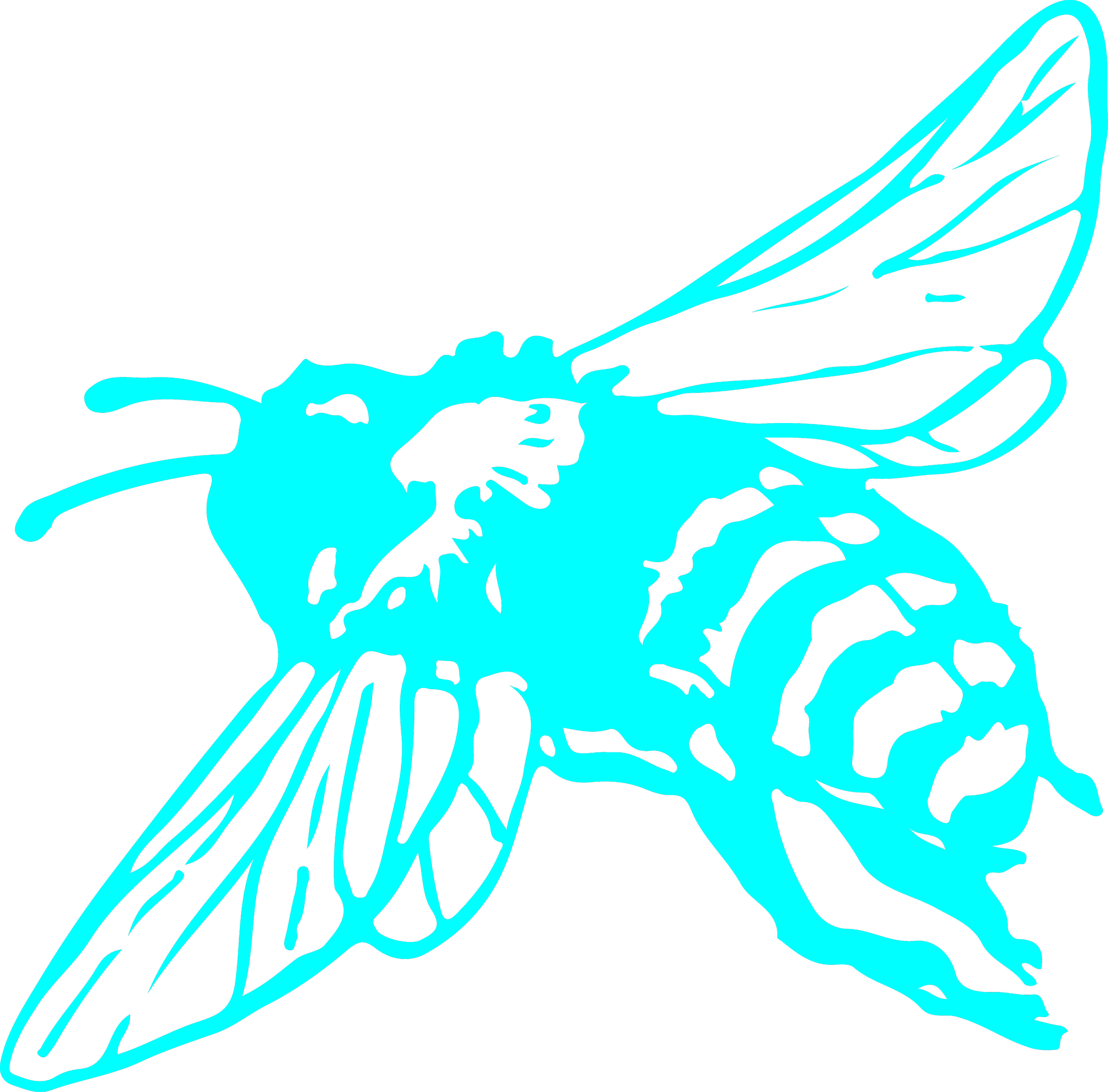 cyan bee.png