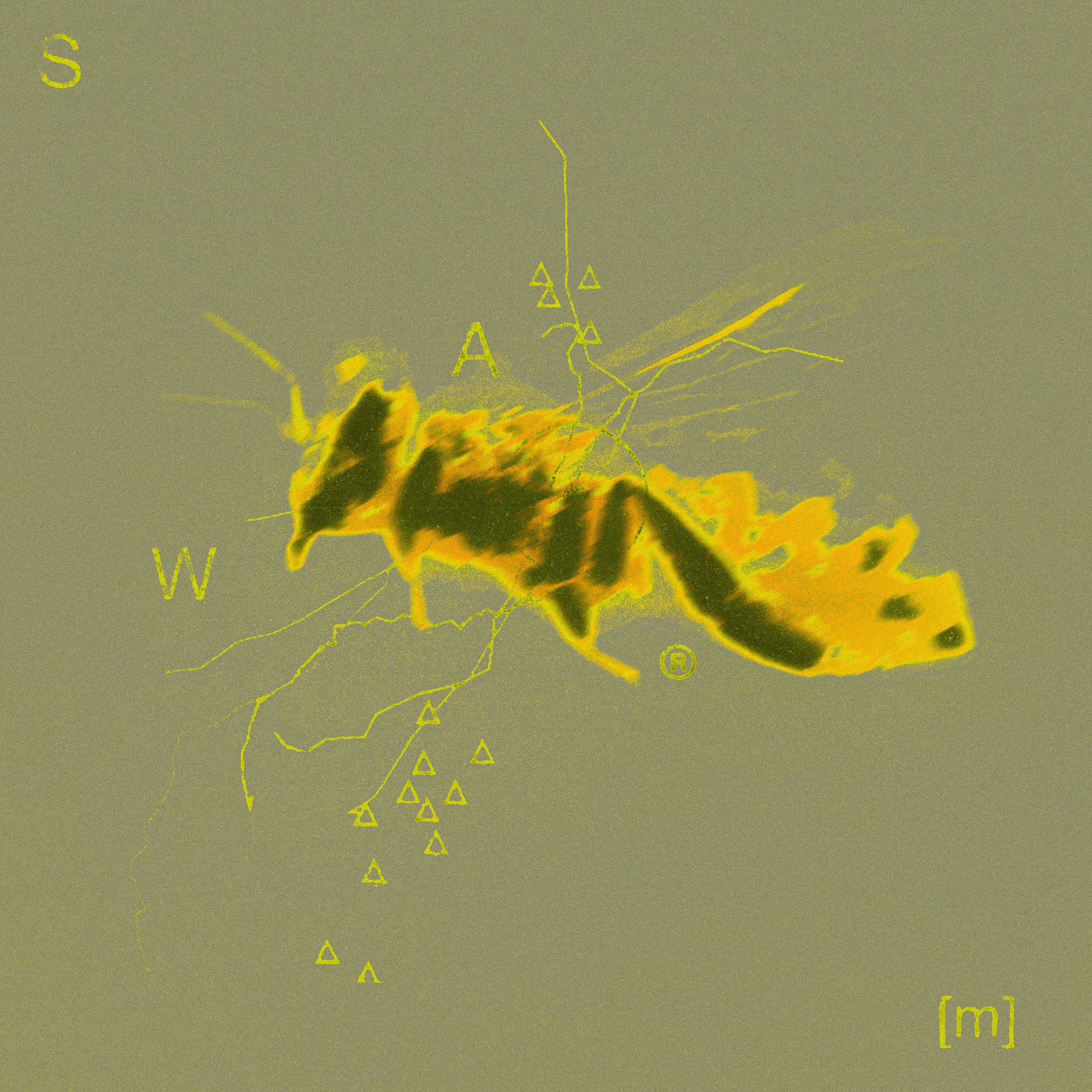 swarm-2-2.jpeg