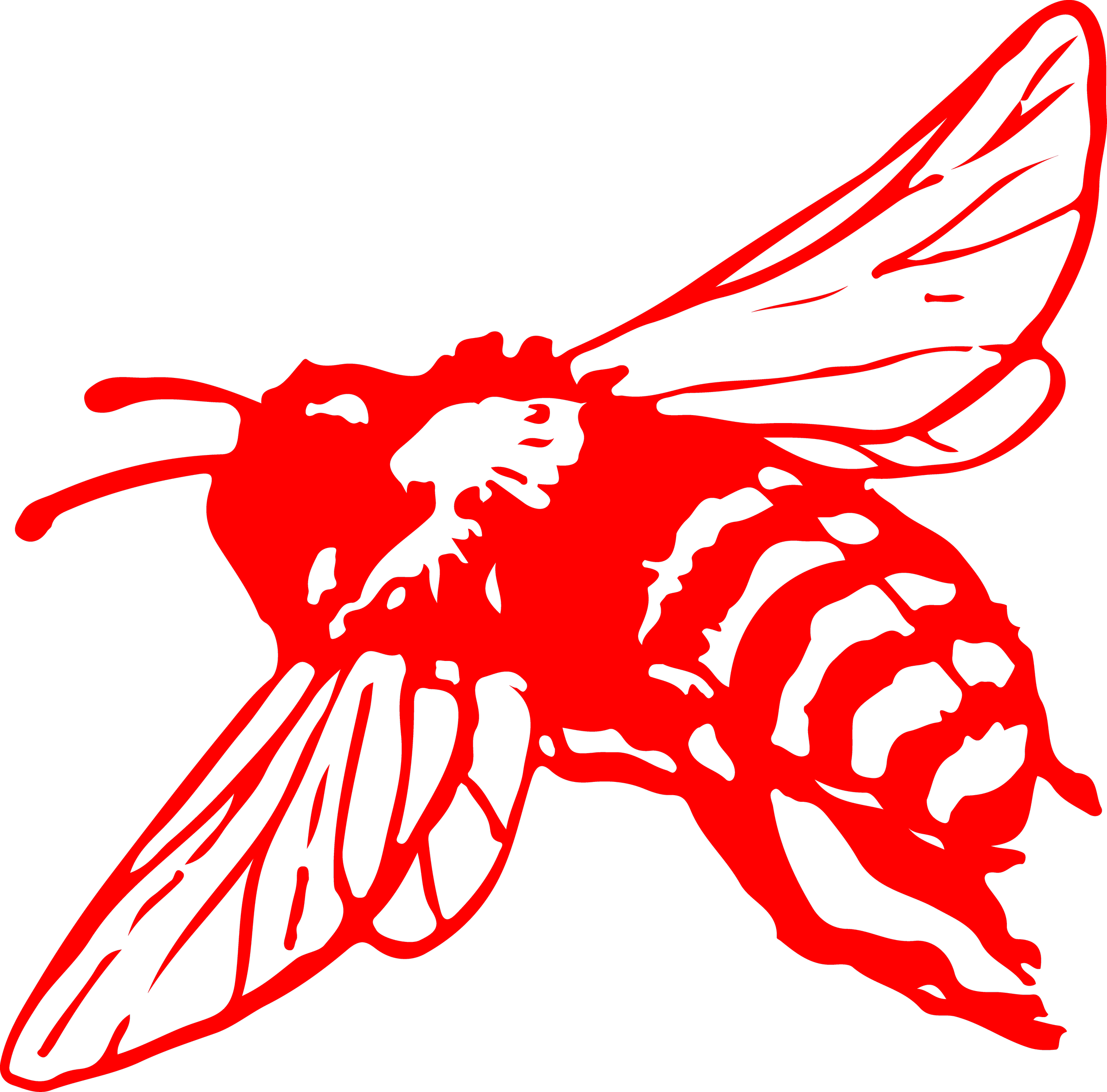 plh bee red.png