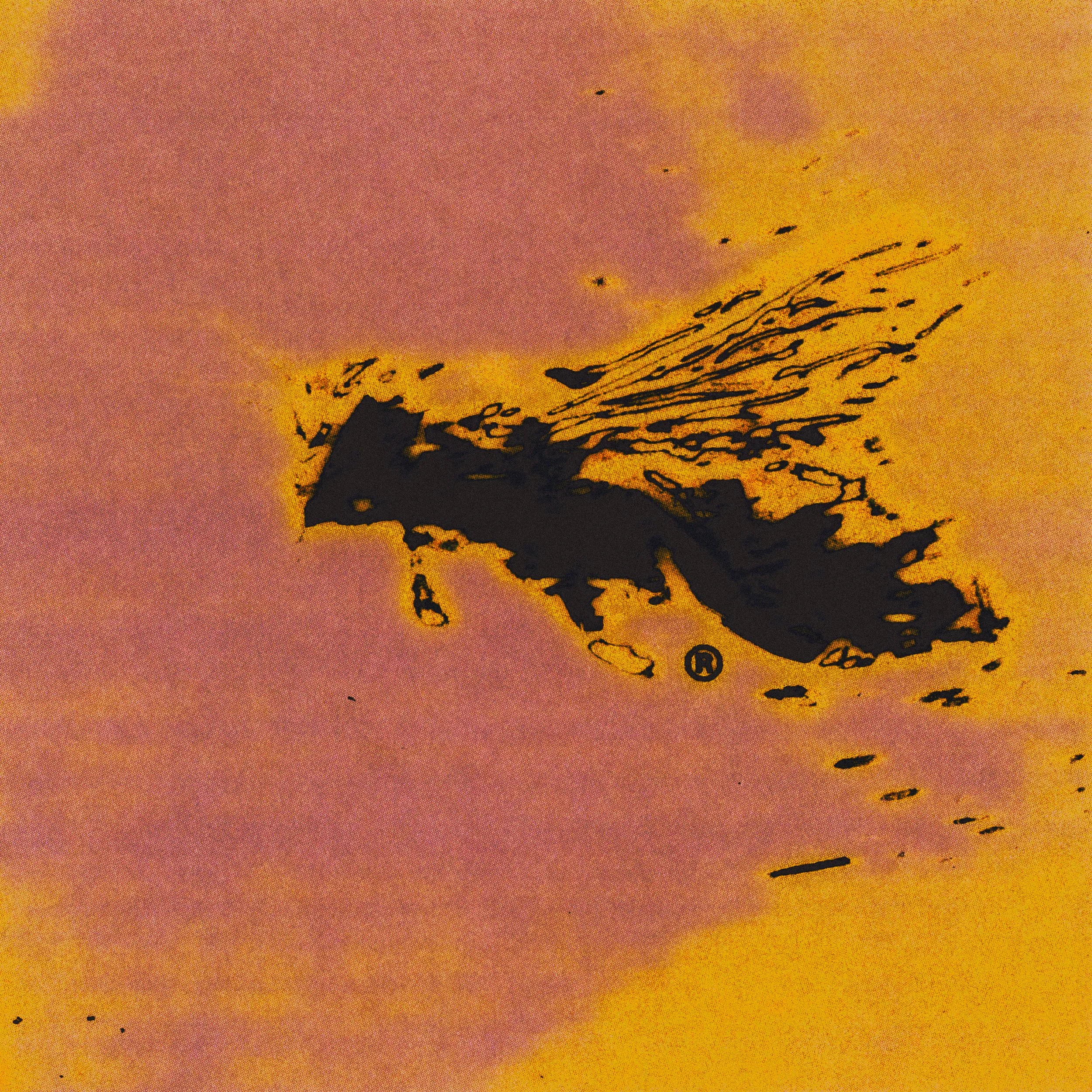 plh_01-e.jpg