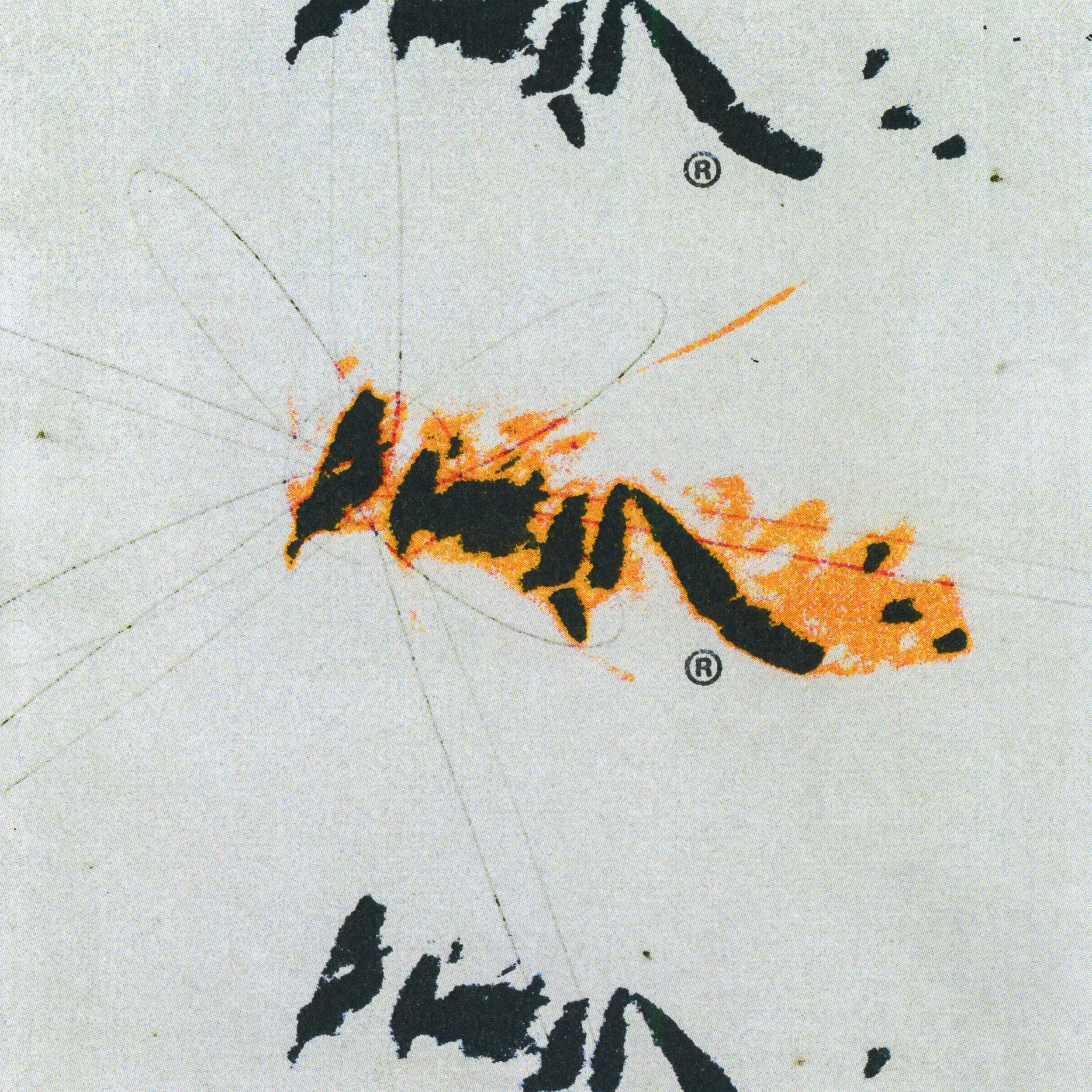 plh_02-a.jpg