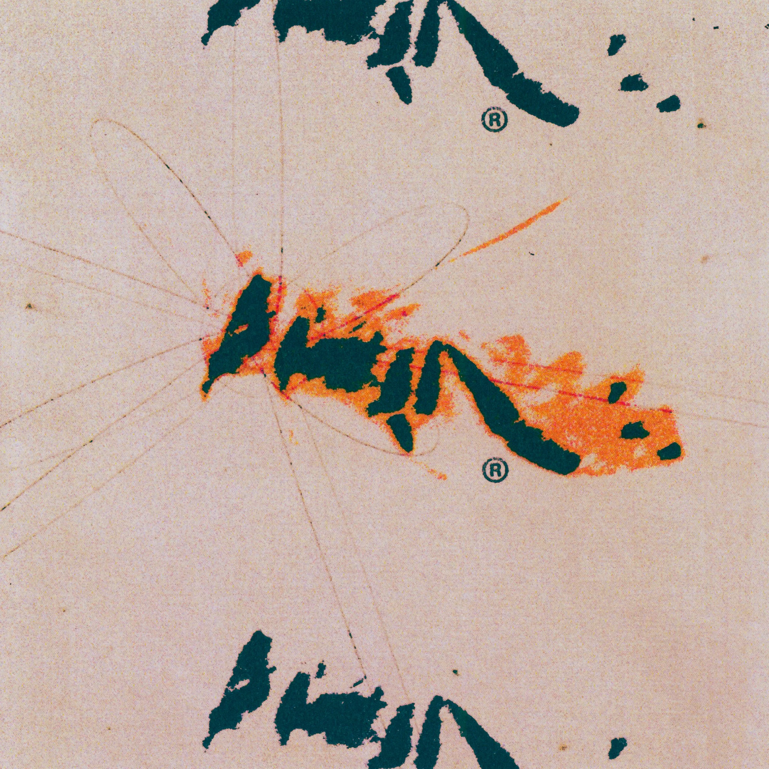 plh_02-b.jpg