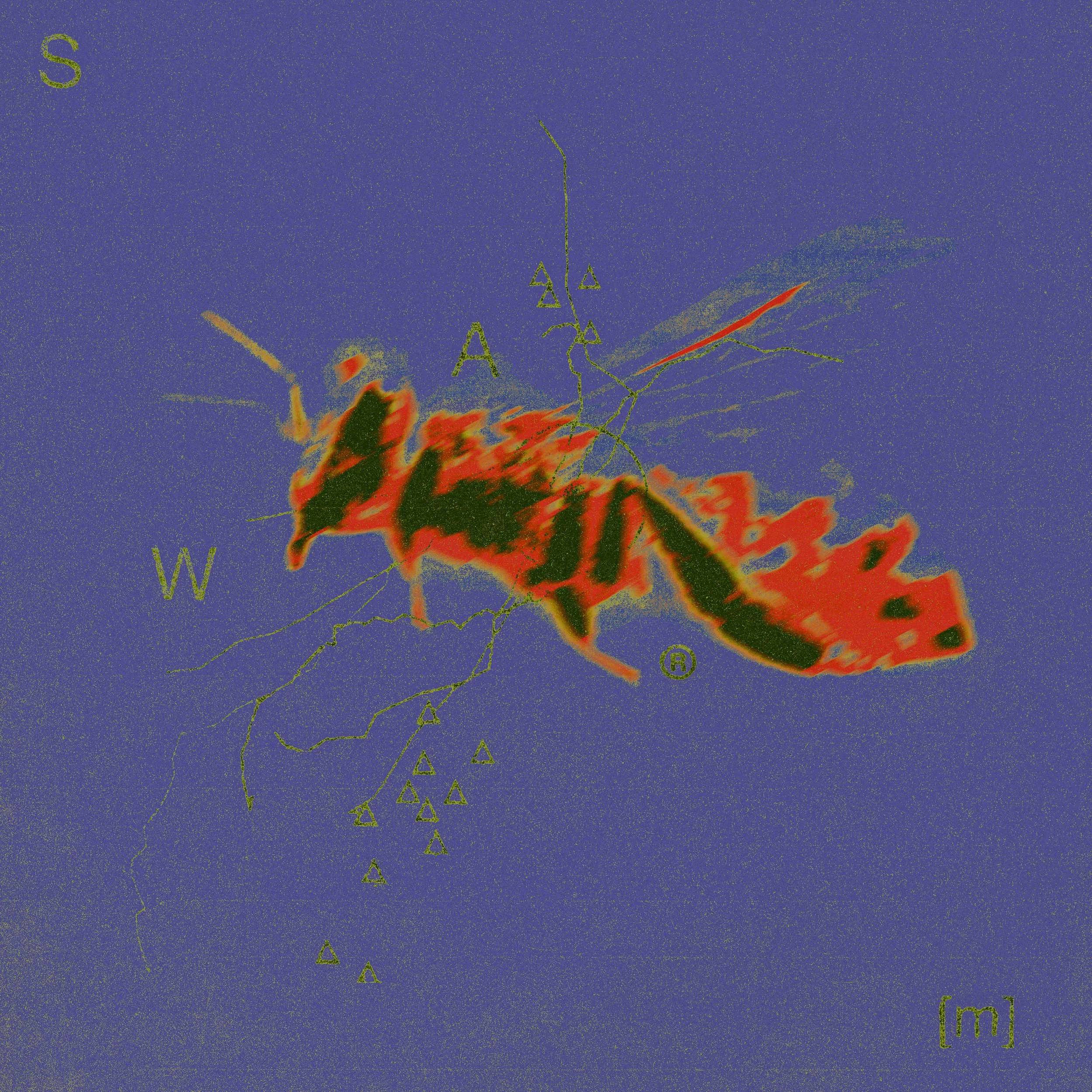 swarm-2 (1).jpeg
