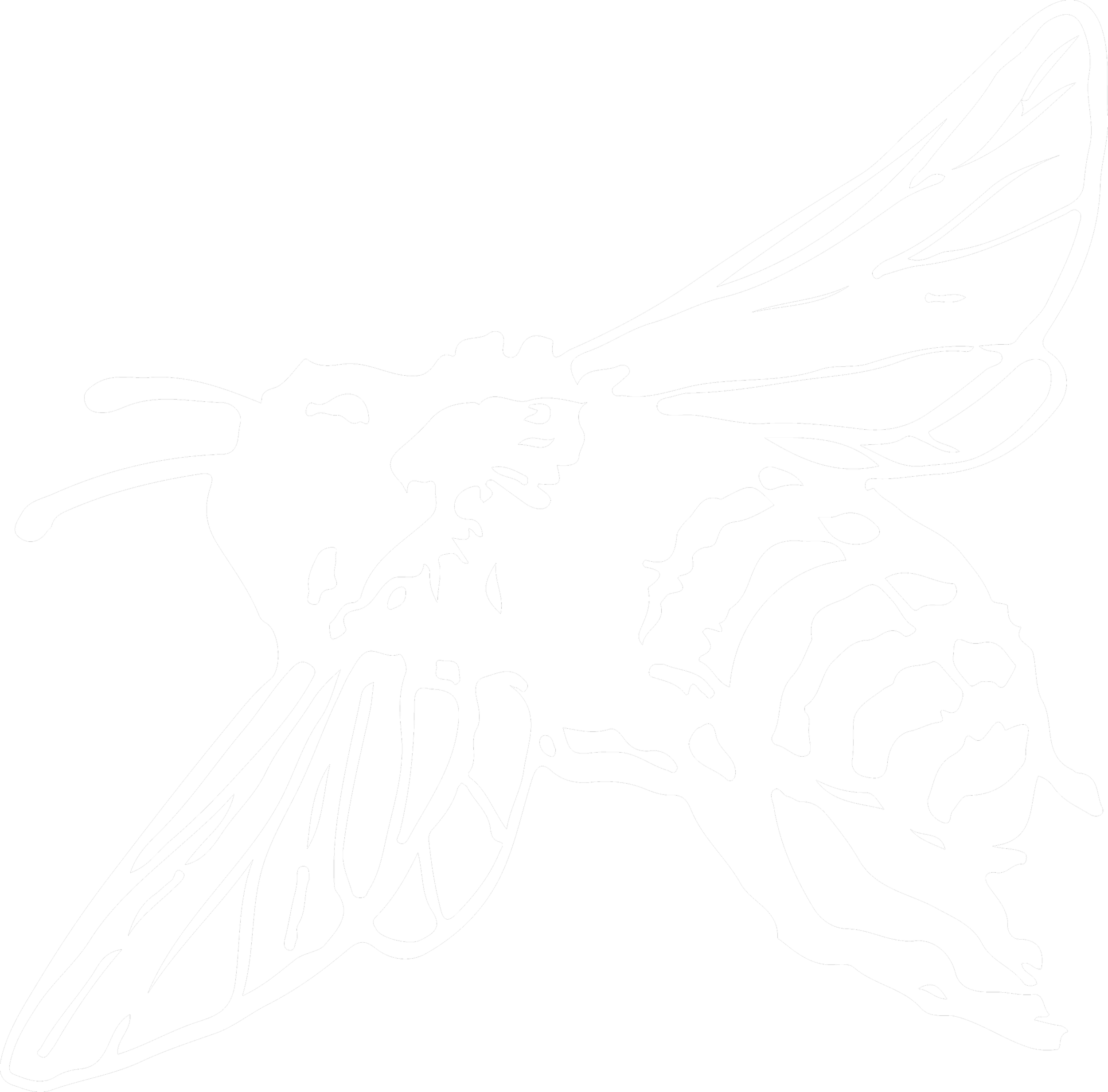 plh_logo_bee_white.png