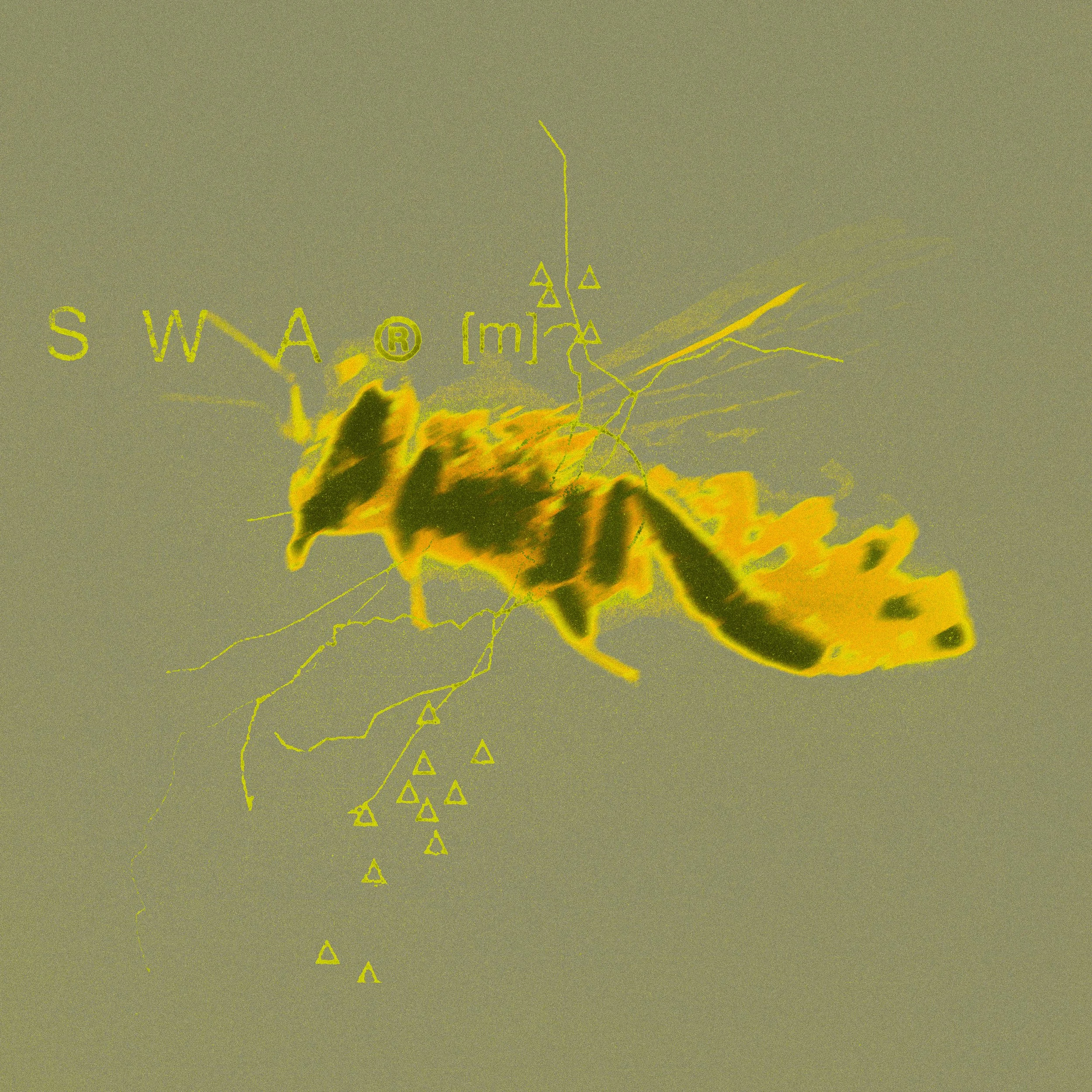 swarm-1-2.jpeg