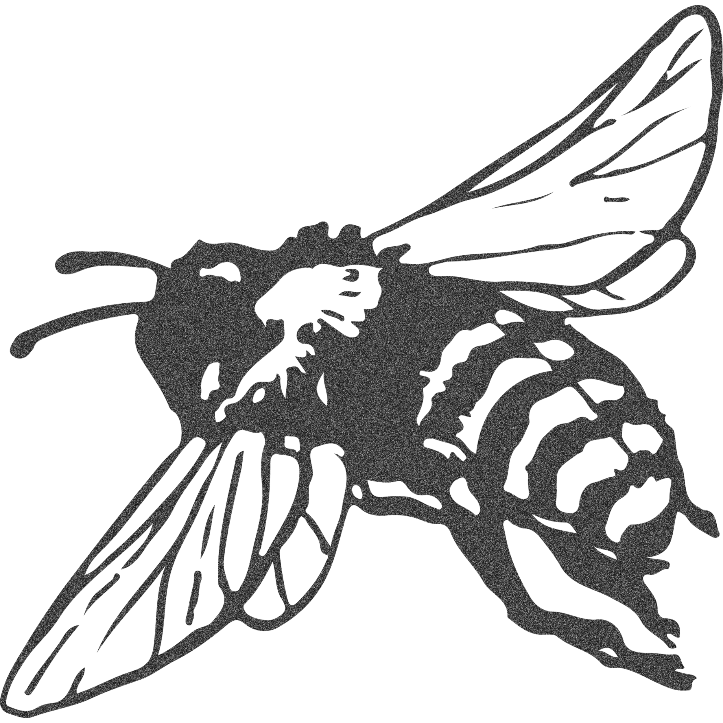 grainy bee.png