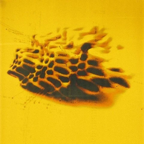 thorns_artwork.jpeg