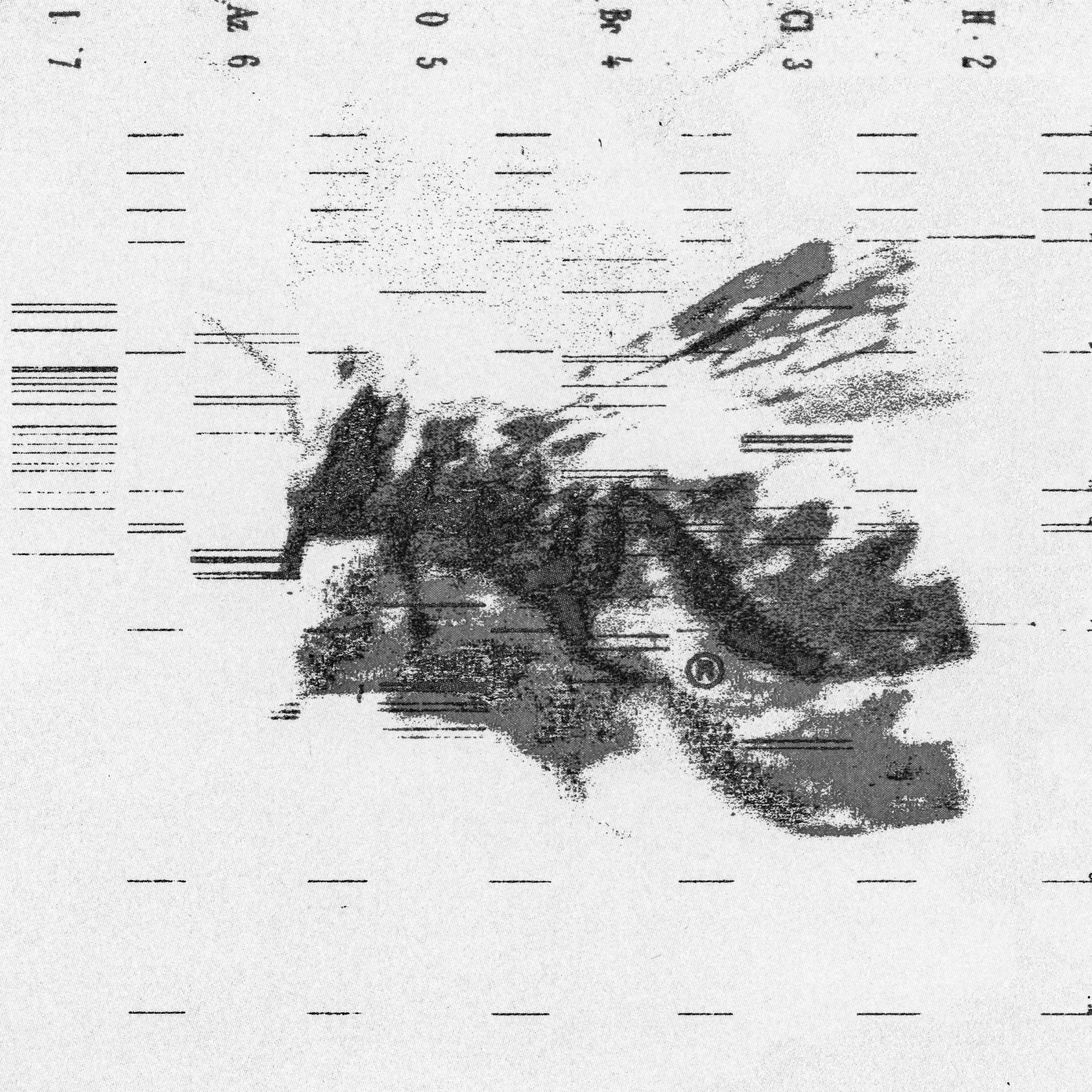 plh_04-b.jpg