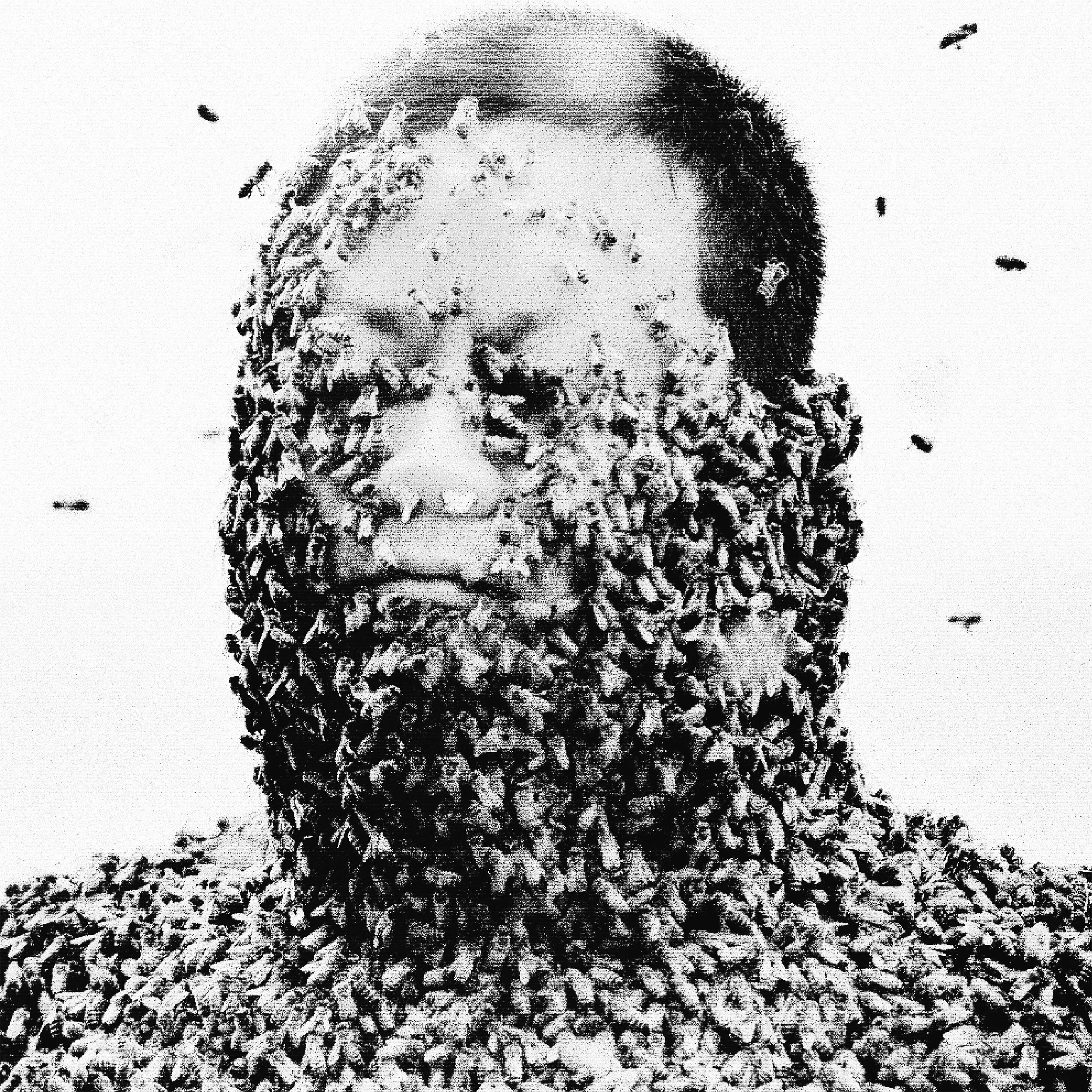 plh_pollination_bw.jpg
