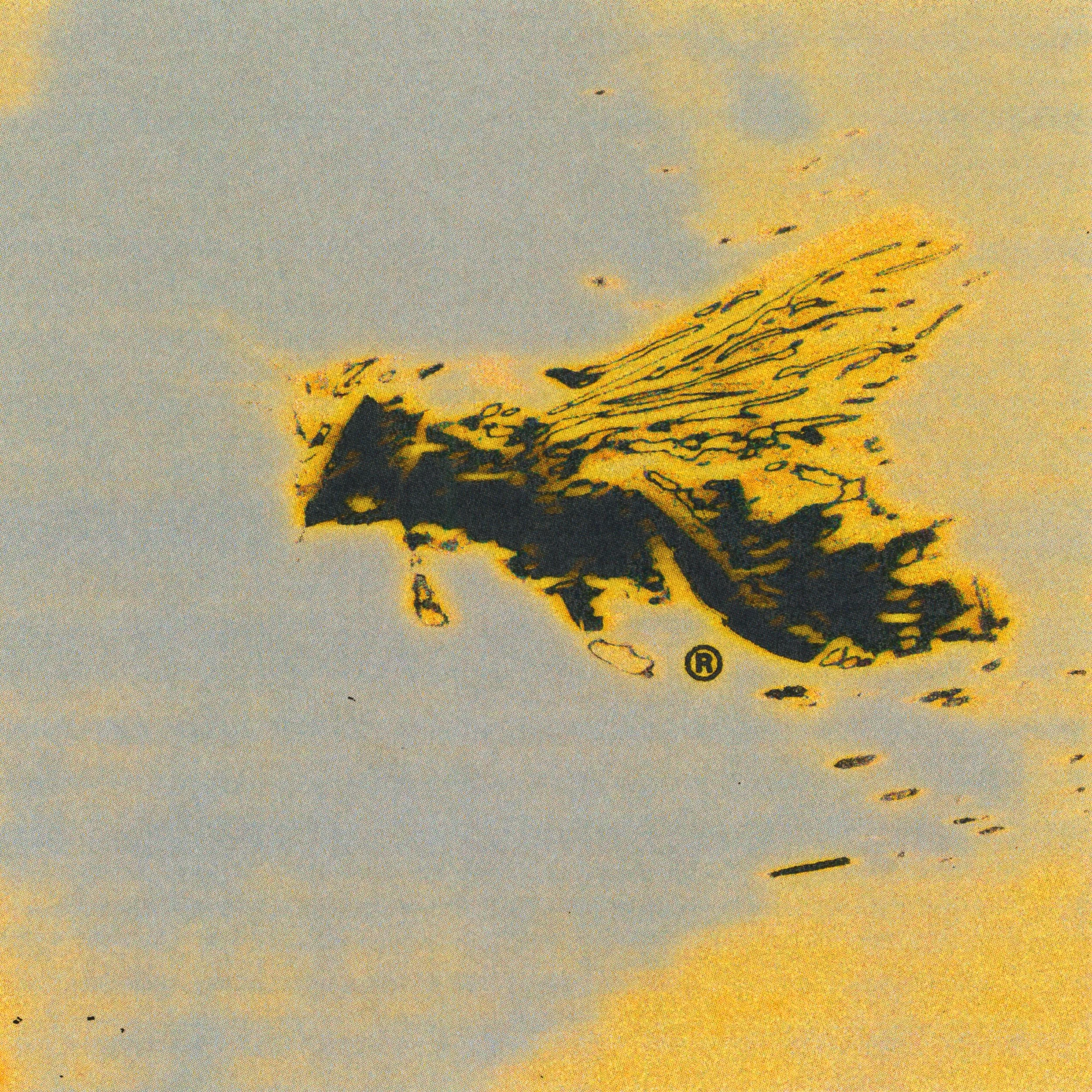 plh_01-d.jpg