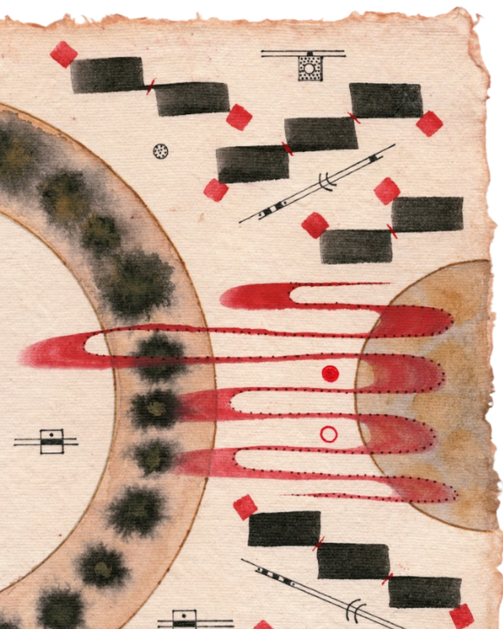 Studies 2026 (11).png