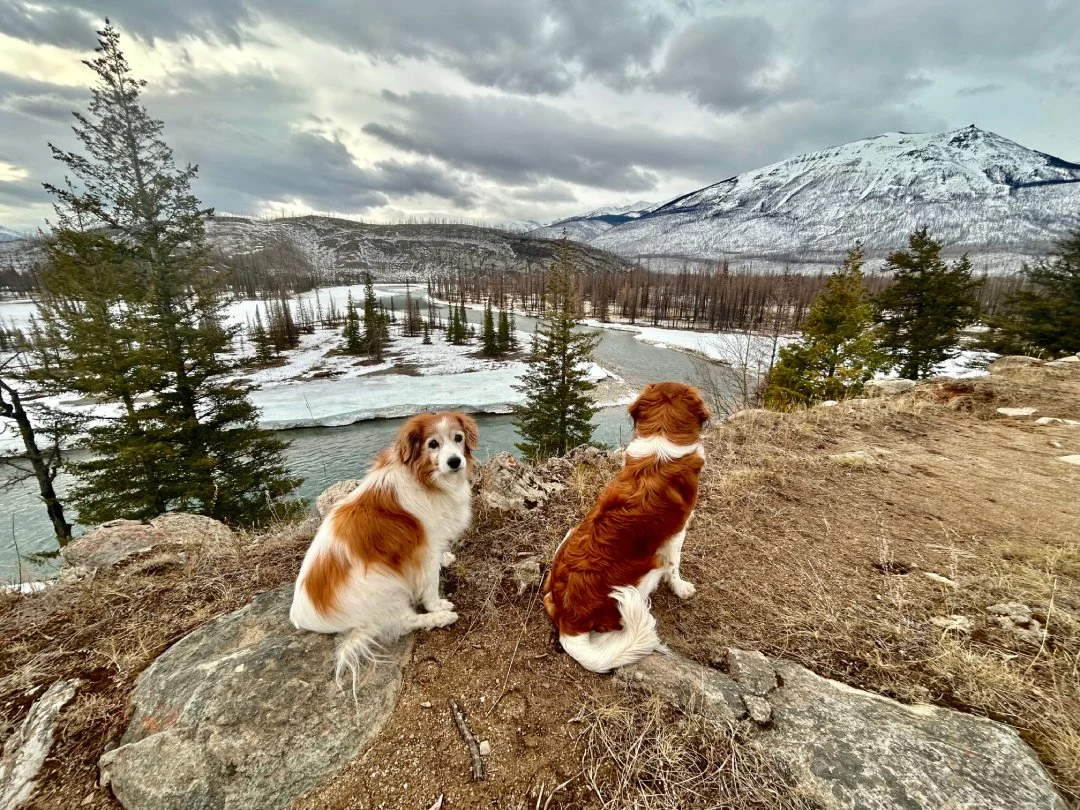 one senior kooiker facing cameran and another kooiker looking away while sitting on a hill overlooking a river and mountains