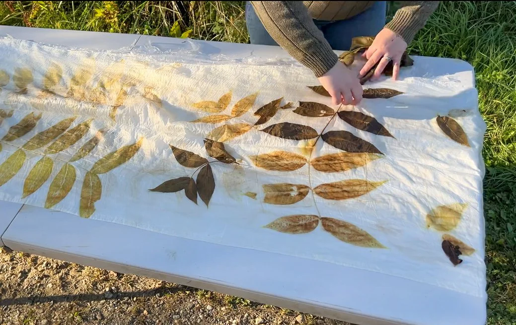 Full Day Immersive Ecoprinting Workshop - August 15th