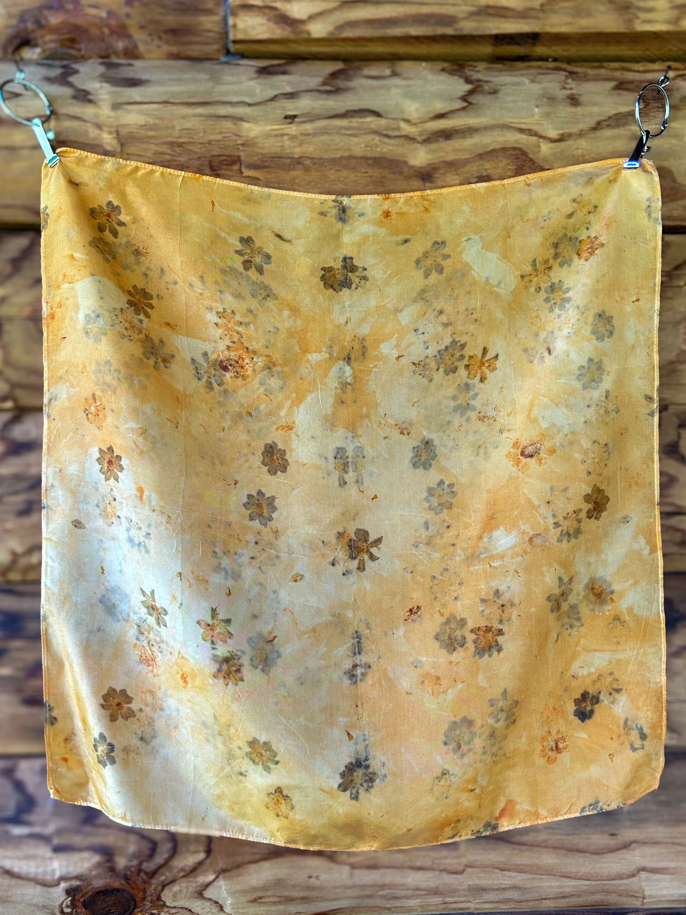 IMG_3505.JPG