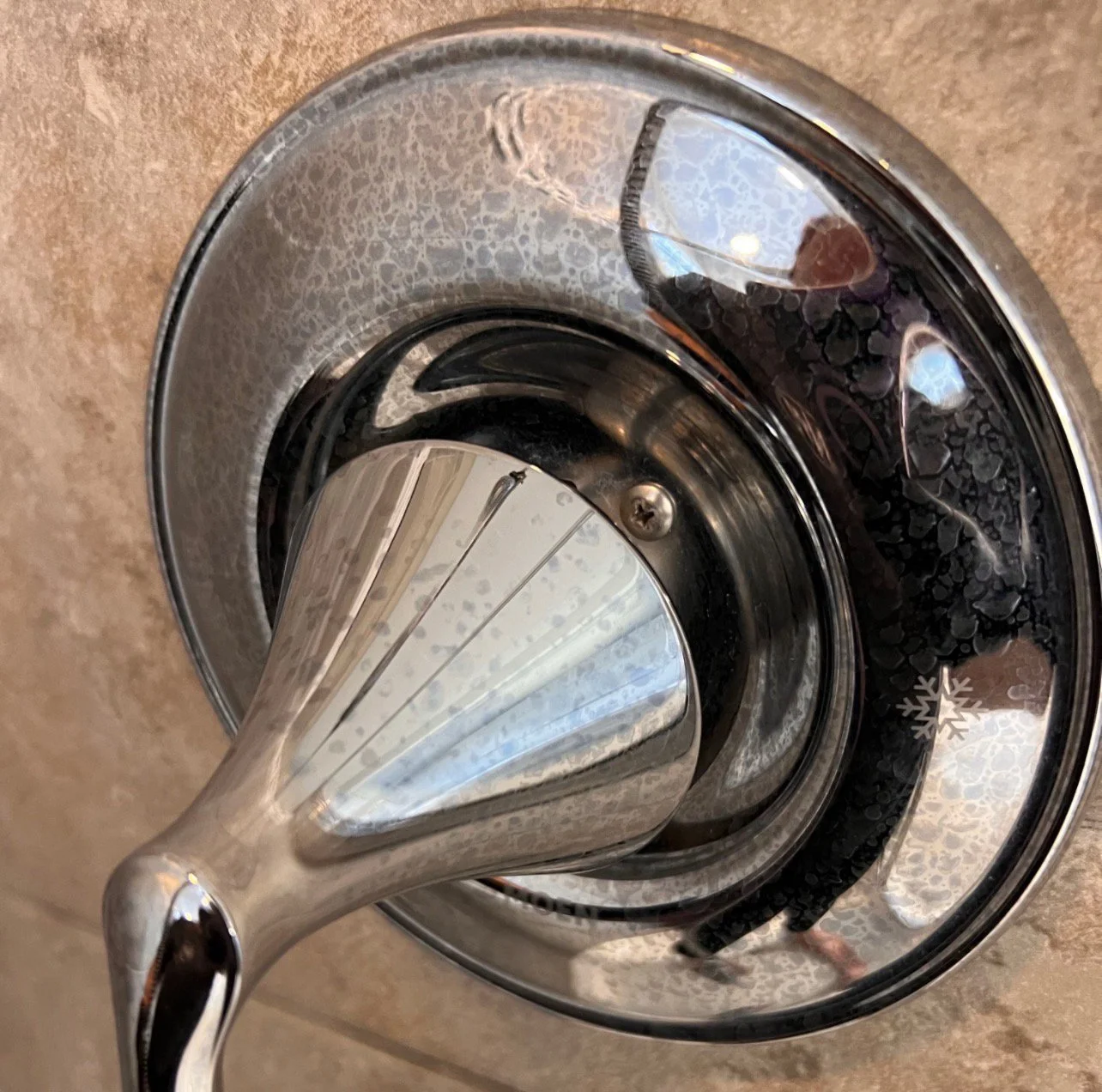 Shower Fixture Before