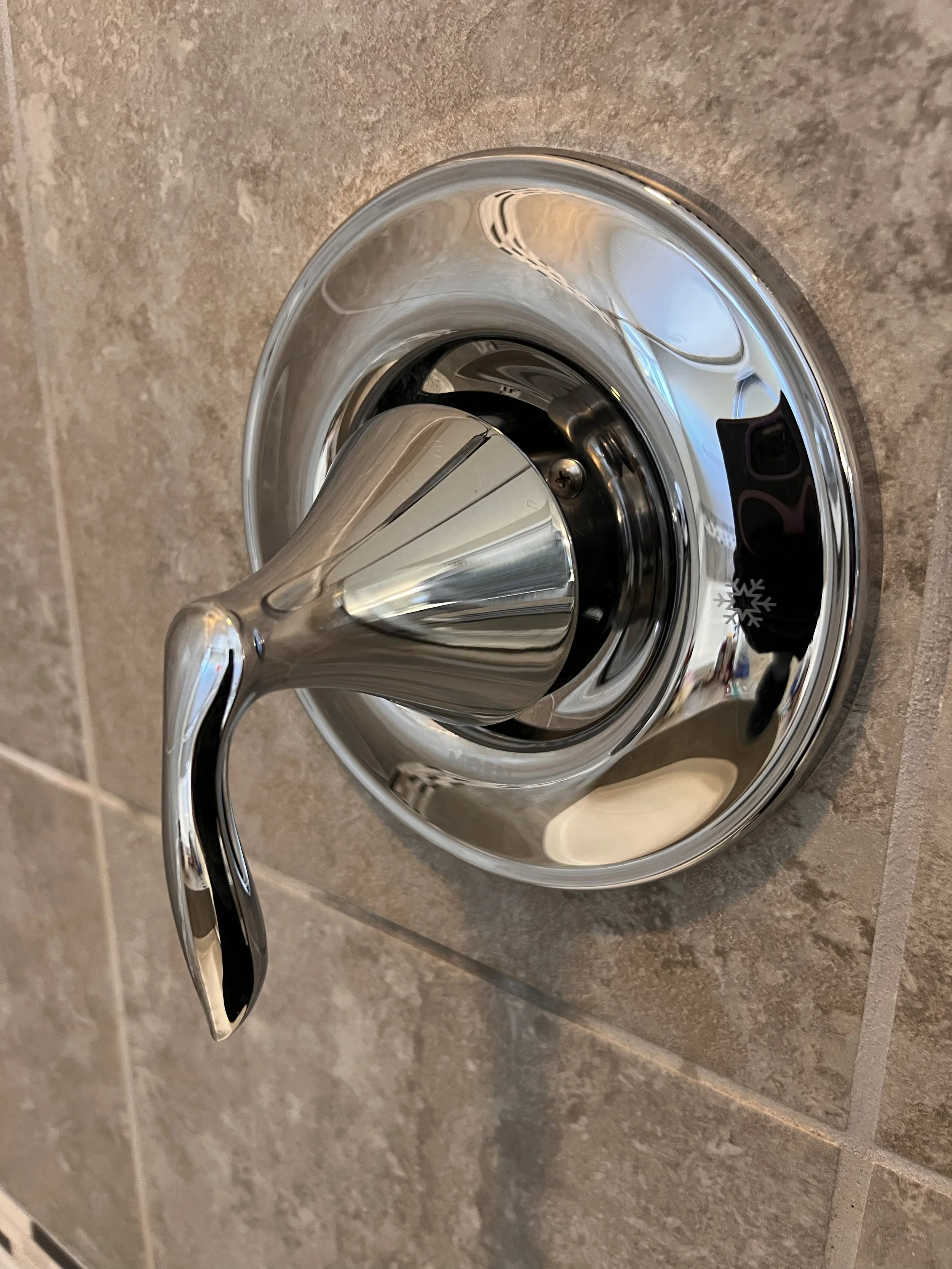 Shower Fixture After