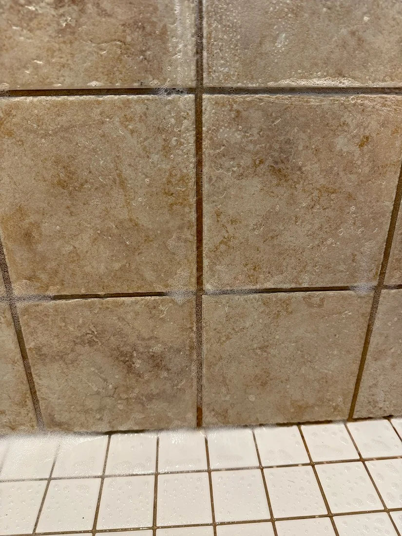 Shower Grout Before