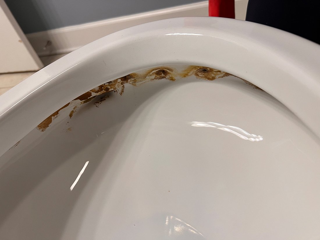 Toilet Interior Before