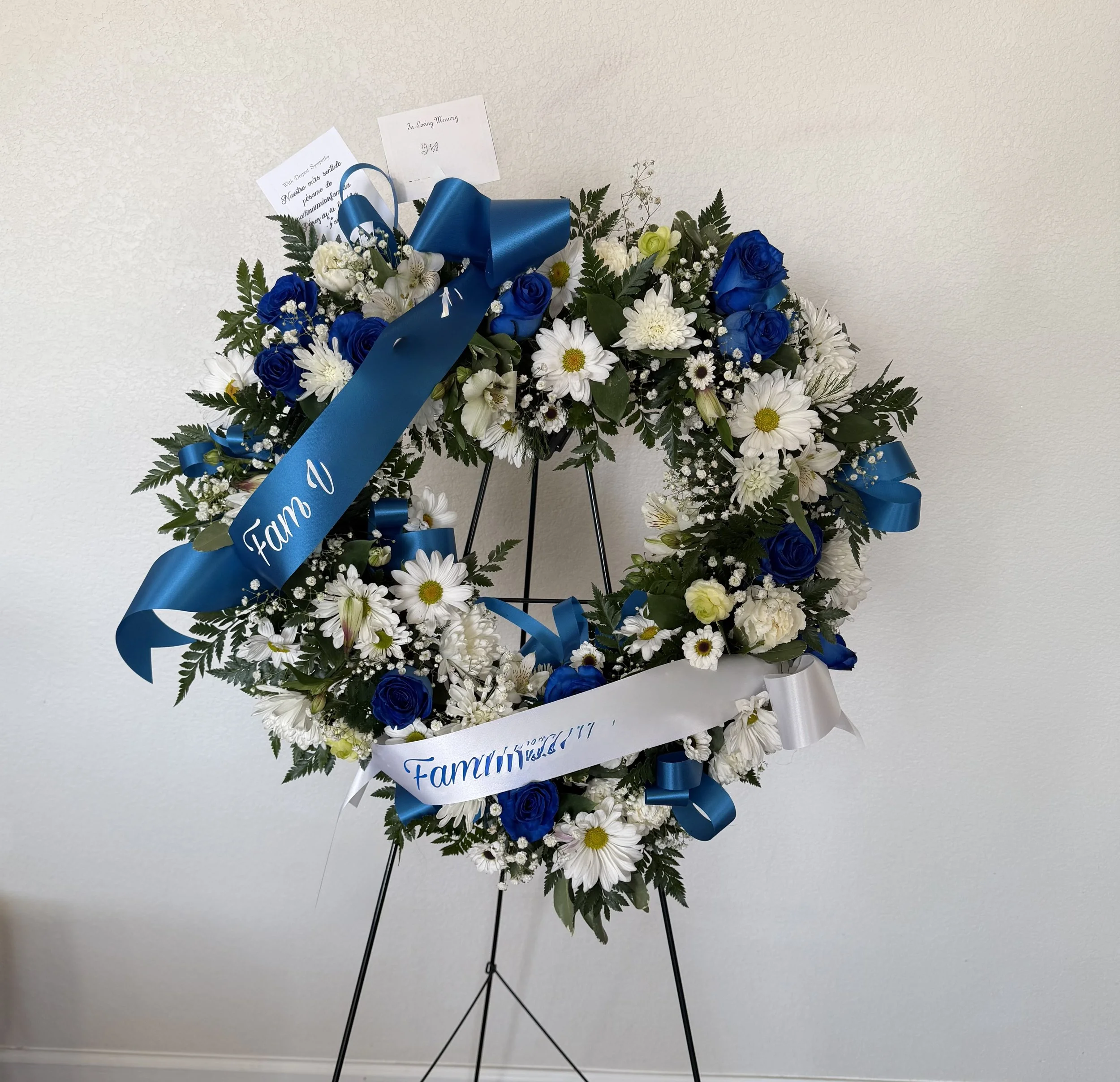 Blue & White complete front.jpeg