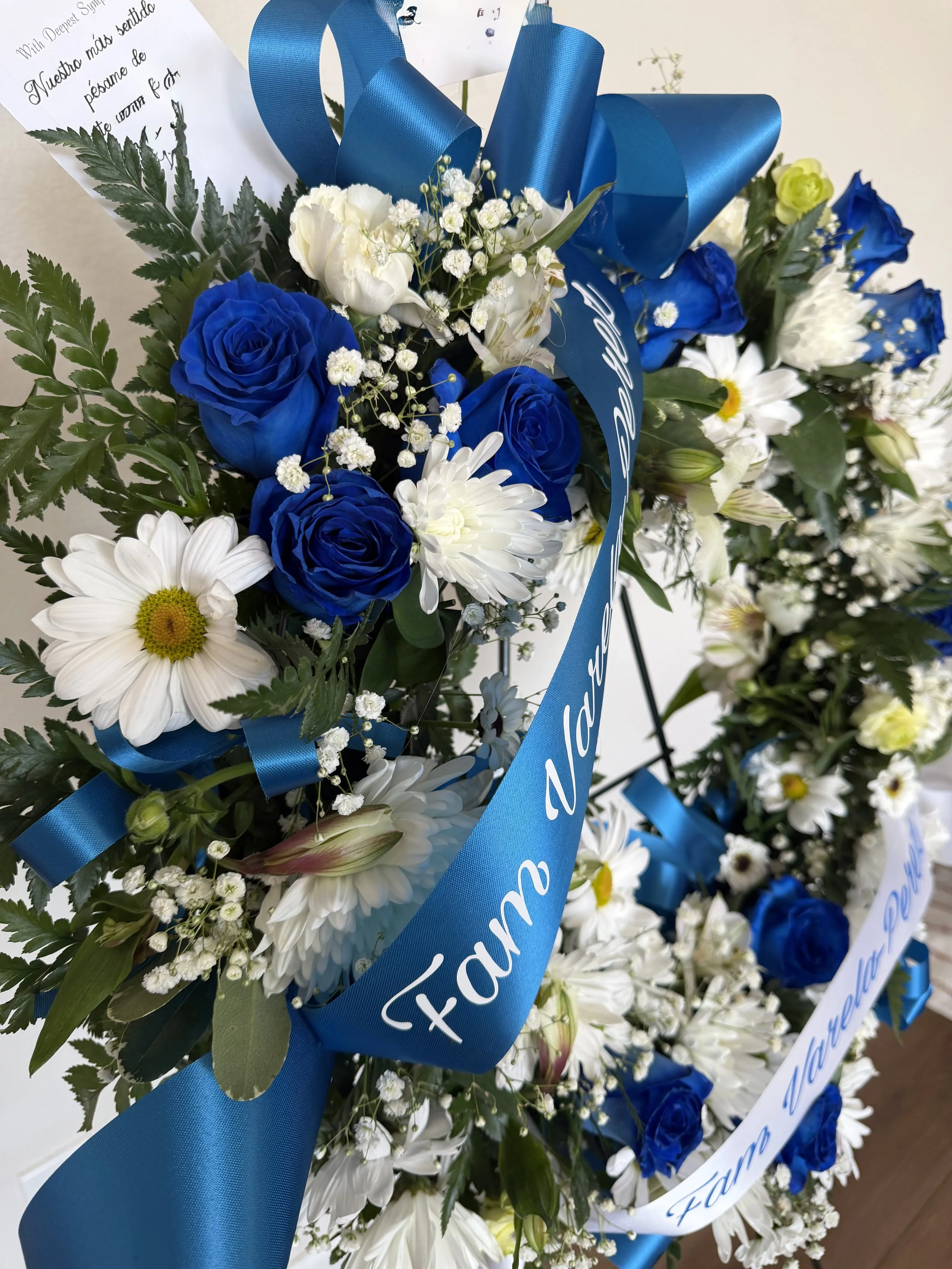 Blue & white sd view 3.jpeg