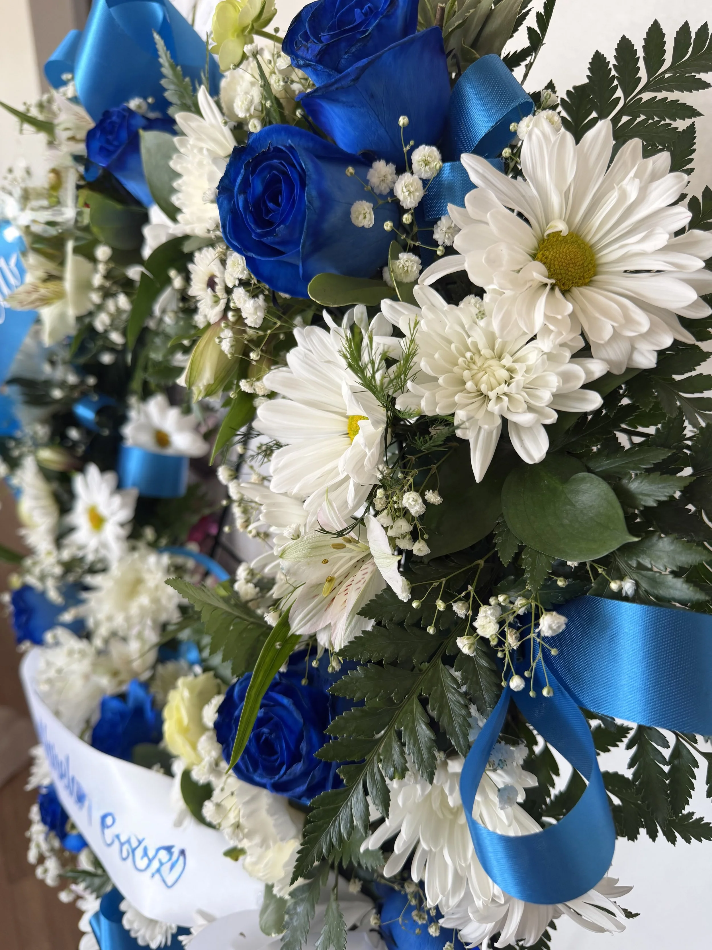 Blue & white sd 2.jpeg