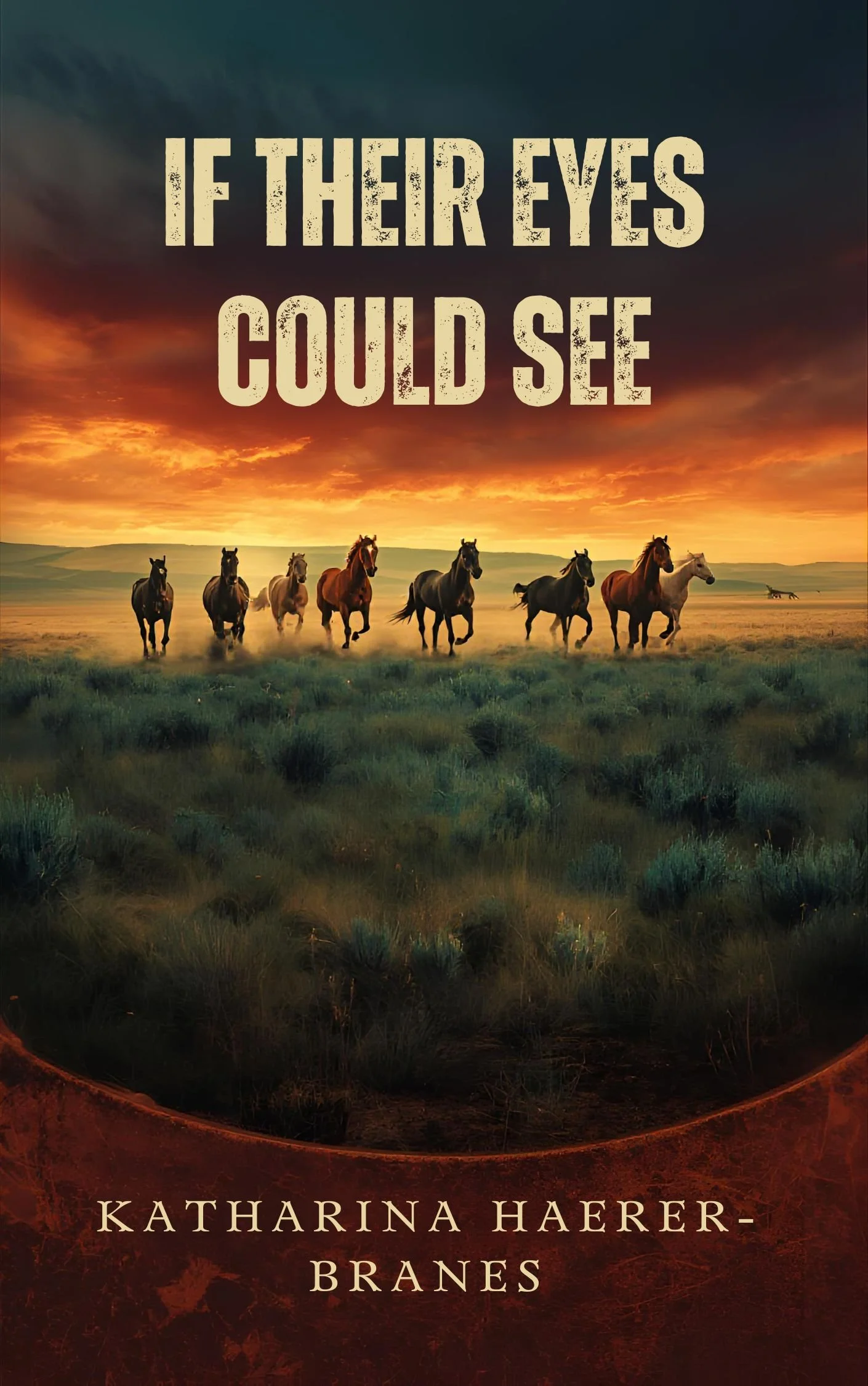 If Their Eyes Could See.jpg