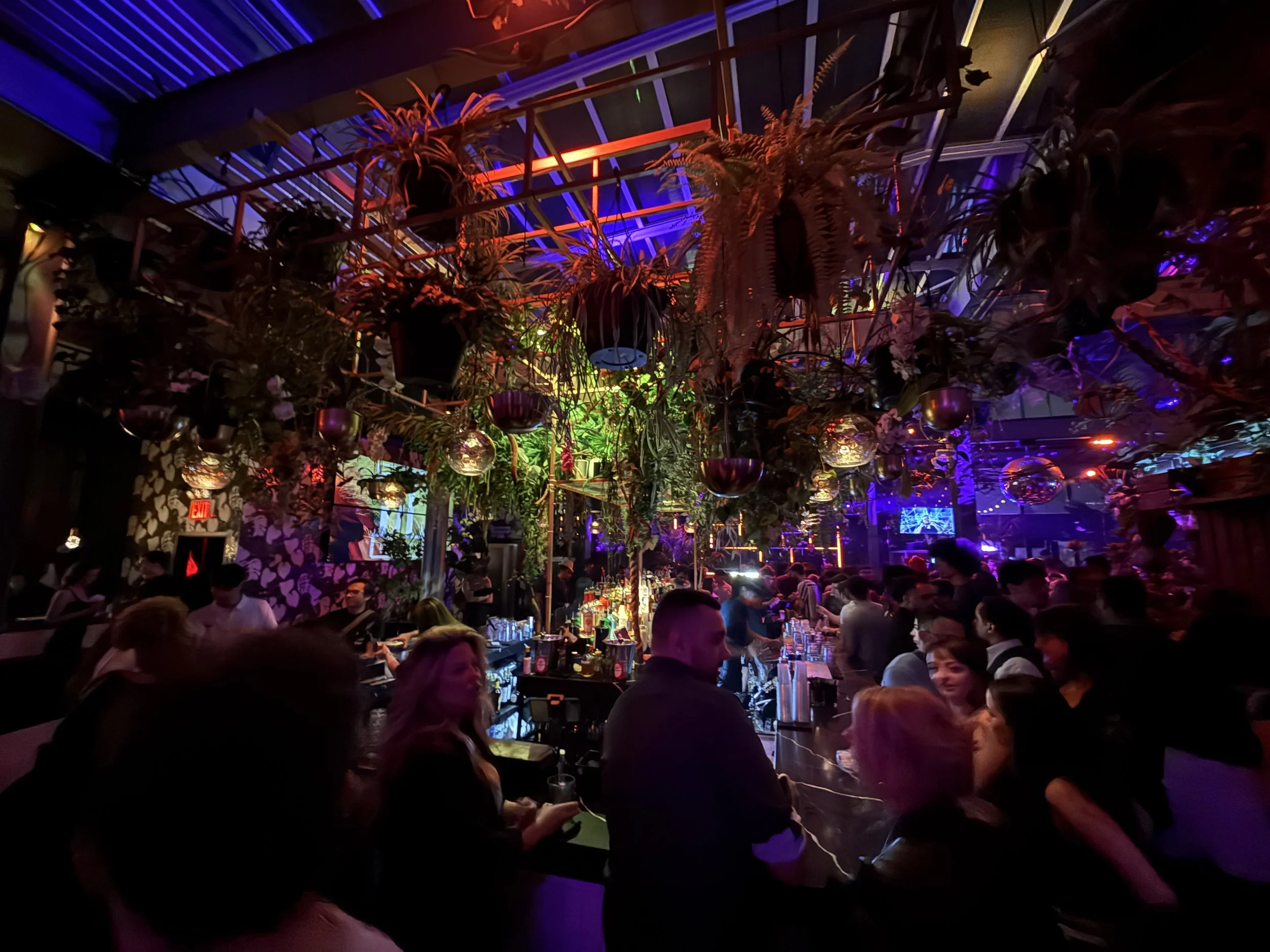 A crowded bar or club with colorful, dim lighting and hanging plants for decor. People are socializing at the bar and around tables, with neon and disco ball reflections creating a lively atmosphere.