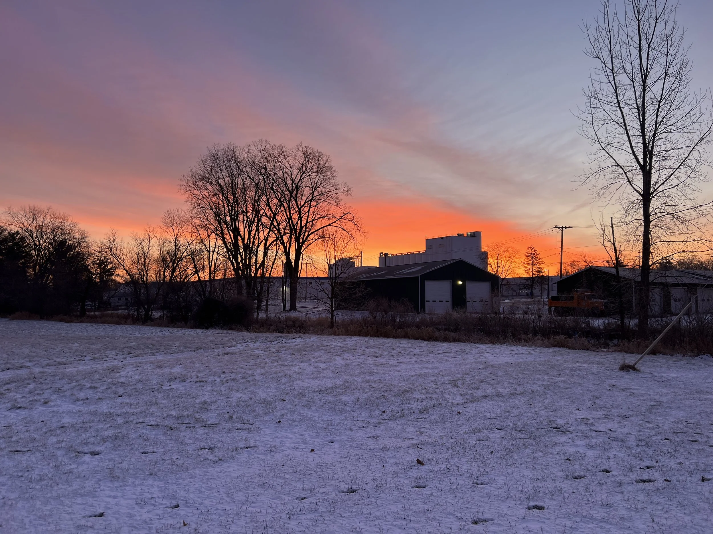 First Psychology Essay