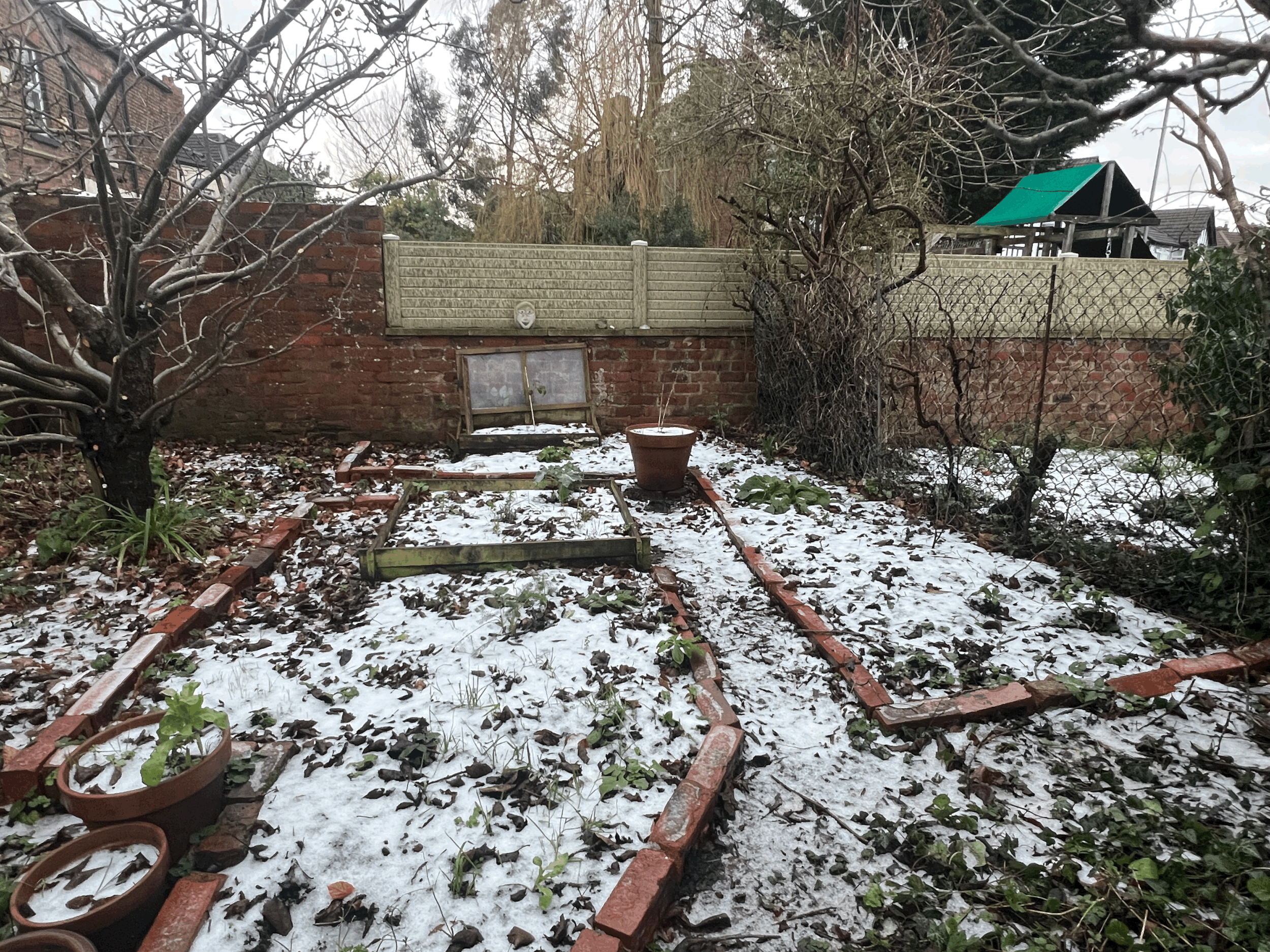 The Garden in New Ferry