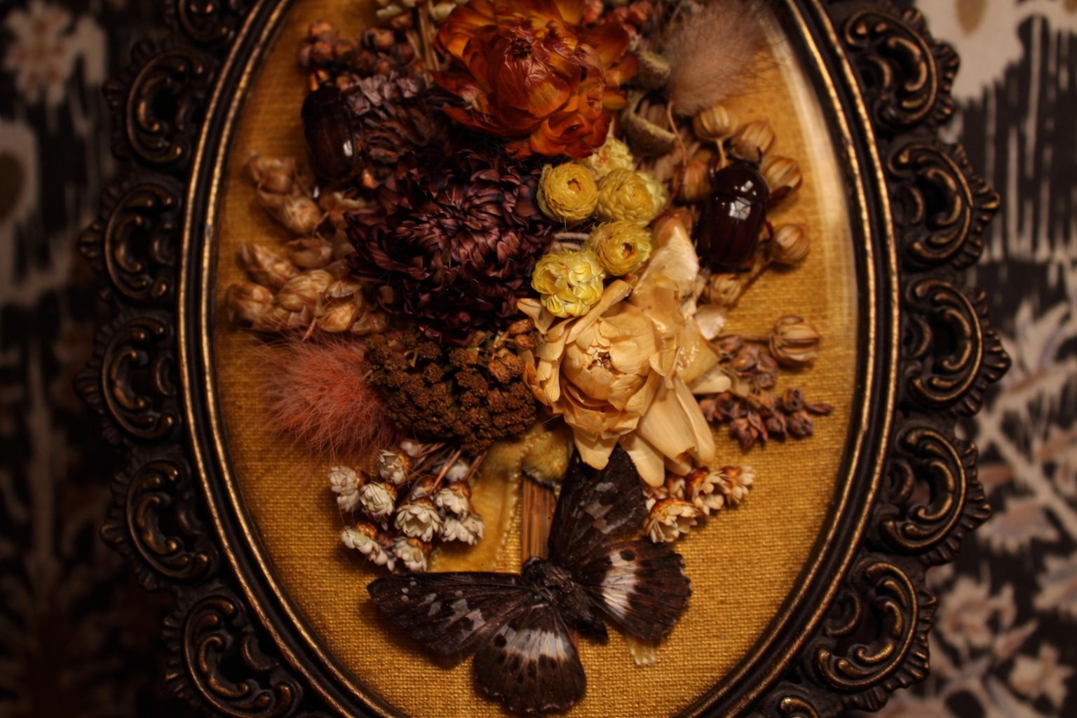 ChatGPT Image Jan 25, 2026, 06_53_49 PM.png