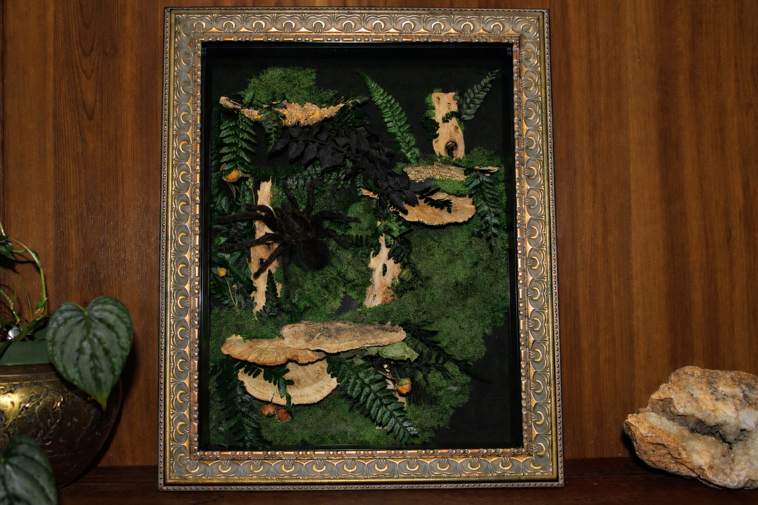 Cathedral of the Forest