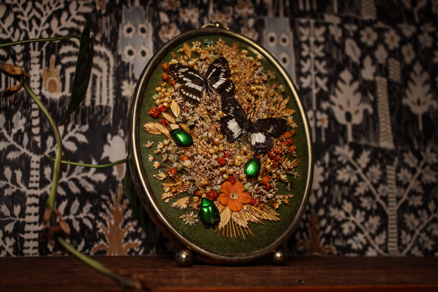 ChatGPT Image Jan 25, 2026, 05_42_07 PM.png