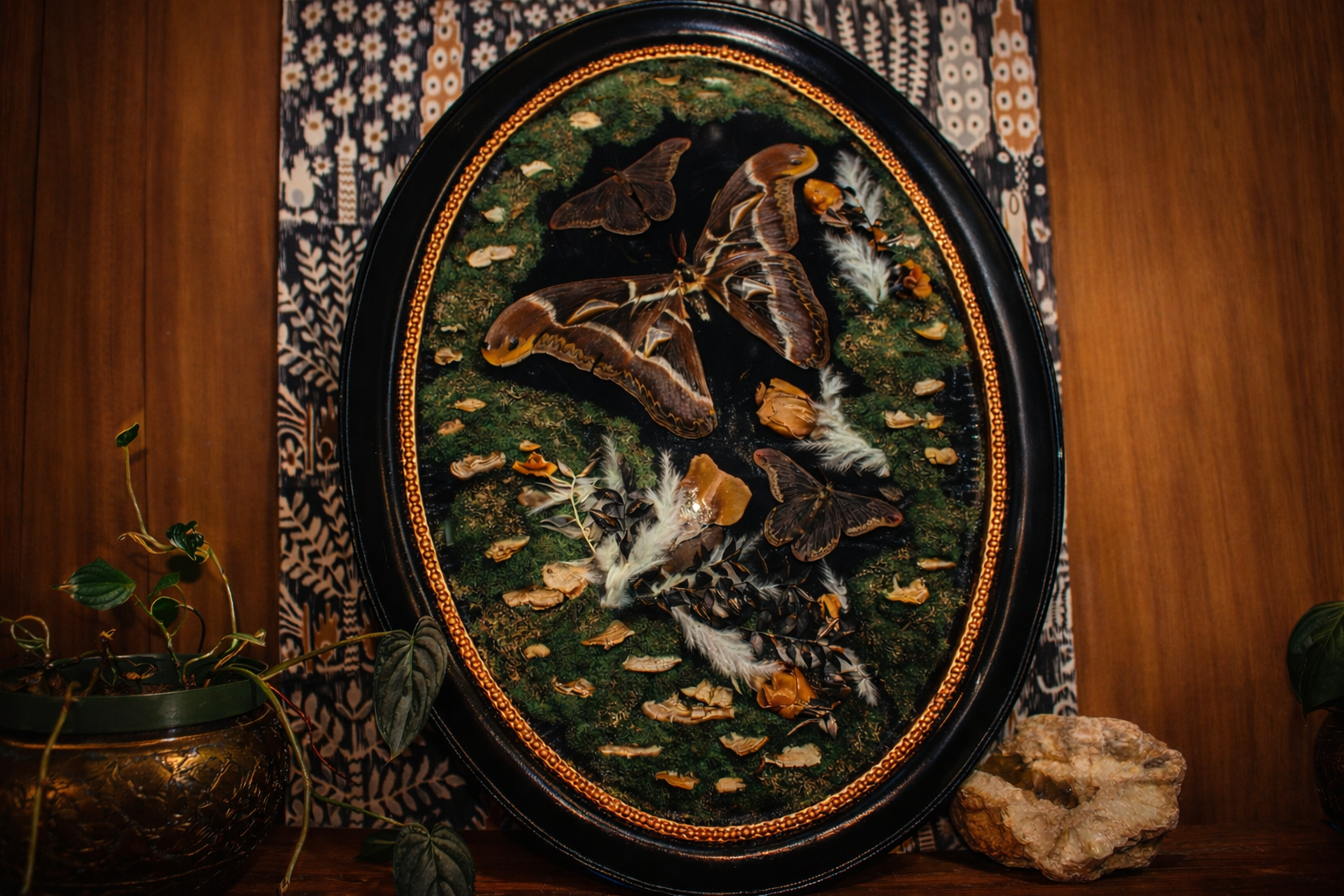 The Night Conservatory