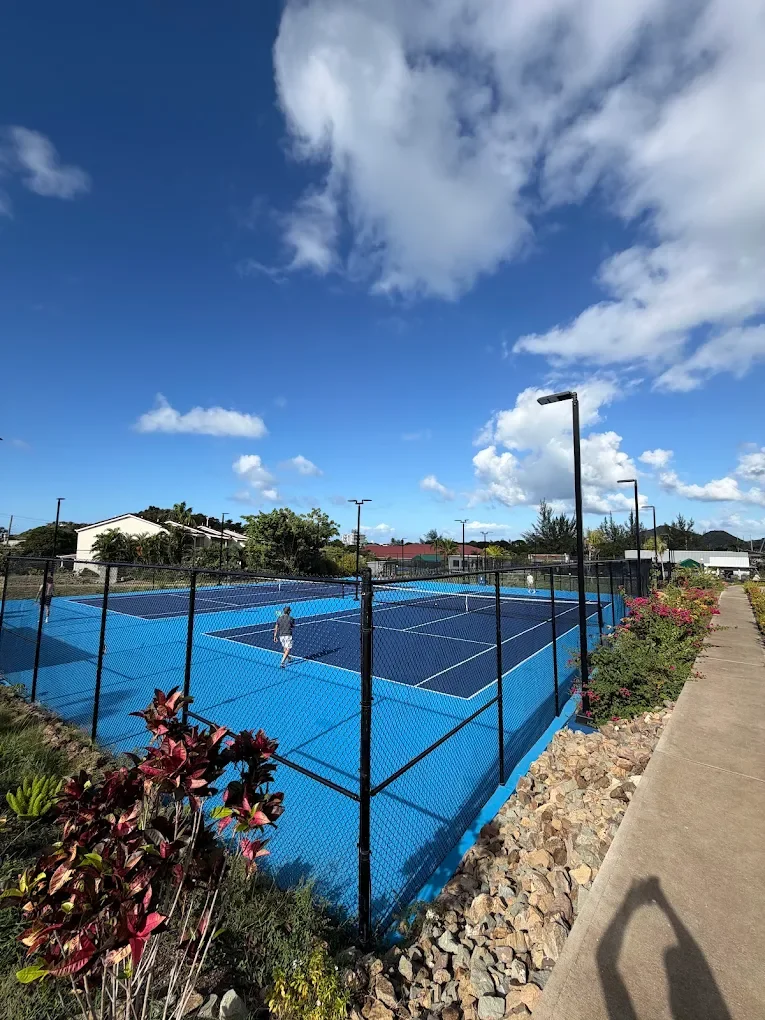 Blue tennis court with a person playing, surrounded by a black fence, with lamps, plants, and clear sky in the background.