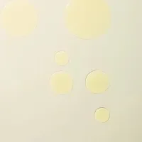 tmpqdh5jgpd.webp (Copy)