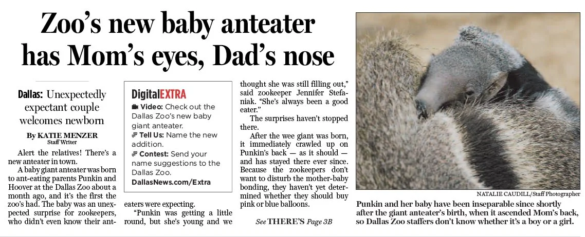 A photo like this deserves a fun headline, don't you think?